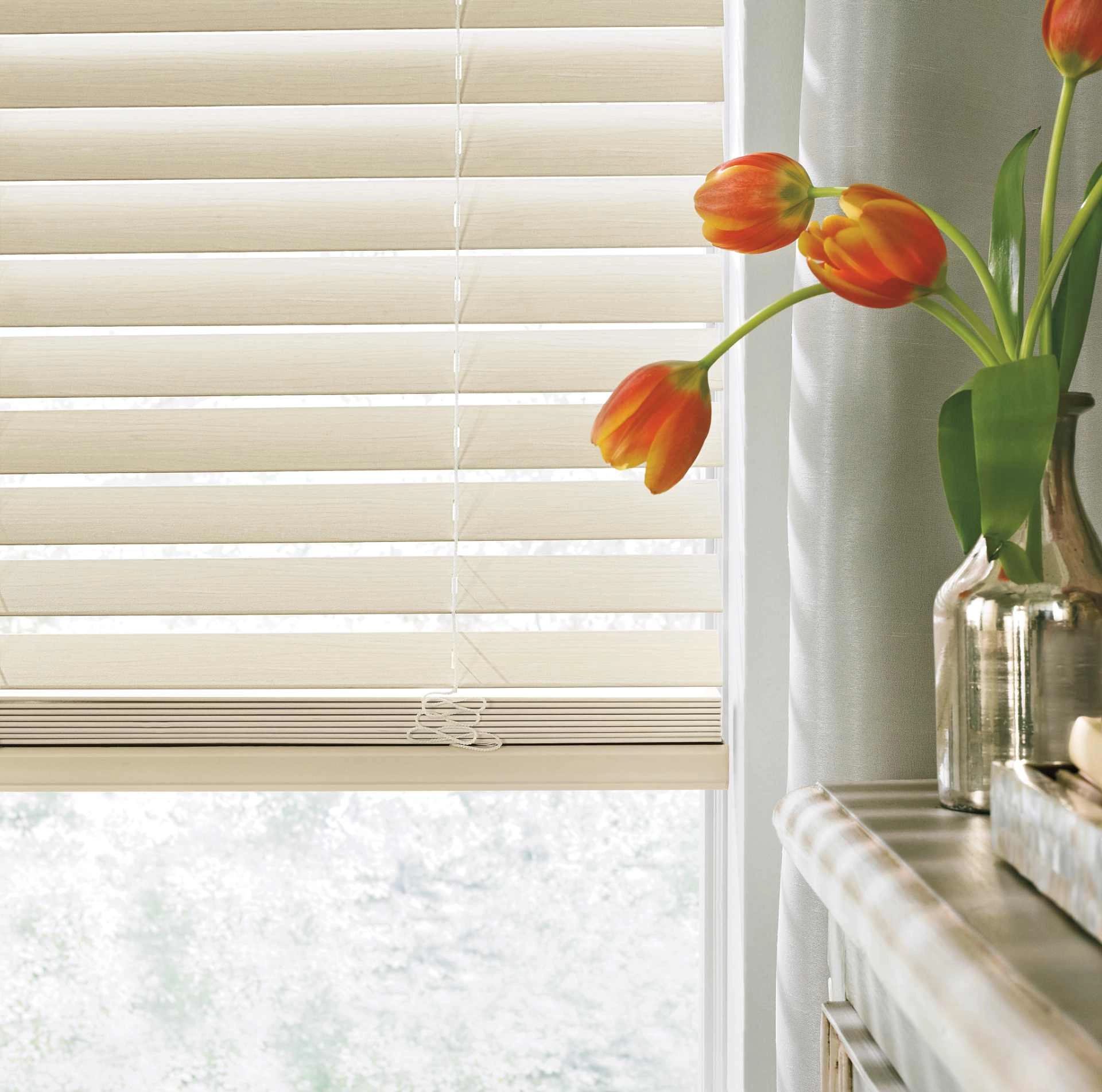 photo: 10038294-banner-try-blinds-that-suit-your-style.jpg