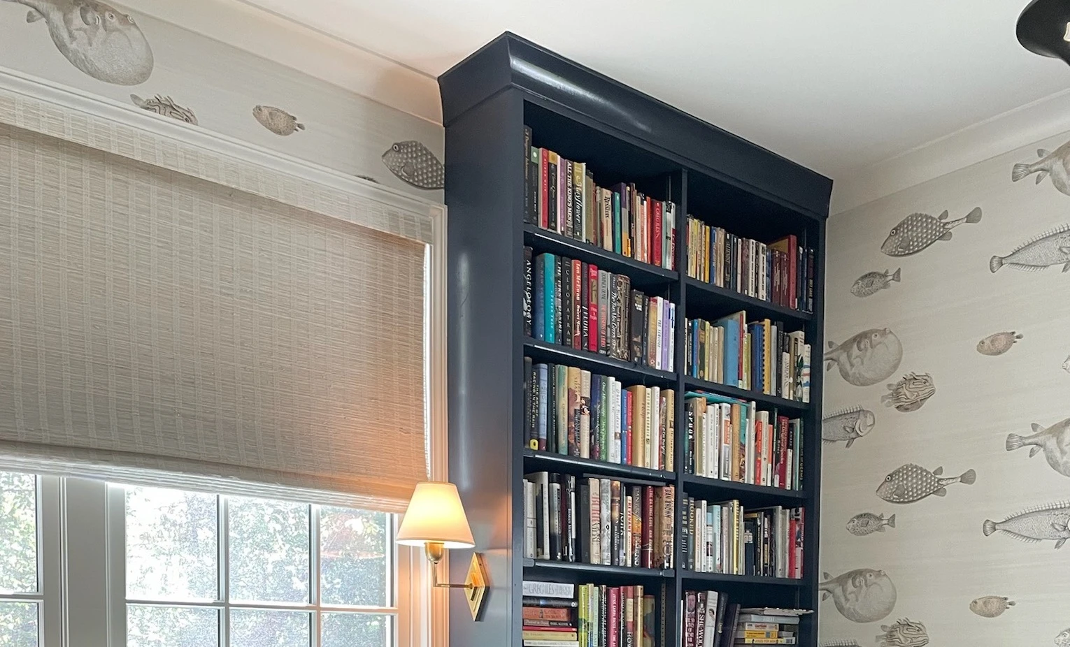 A window with shades.