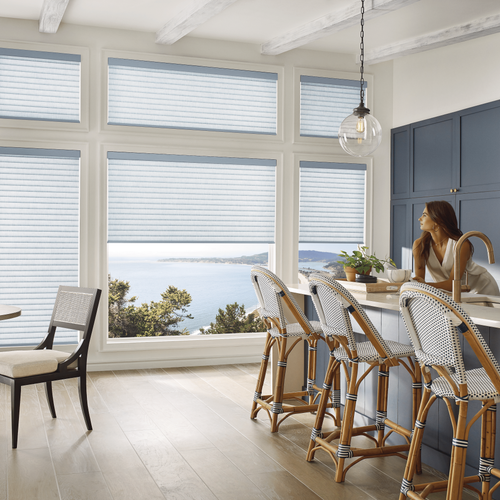 Home Automation Shades