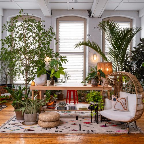 How Stylist Hilton Carter Perfects the Light in His Plant-Filled Office
