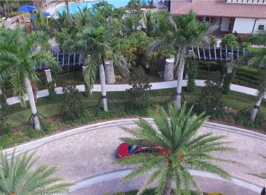 photo: miralargo.png