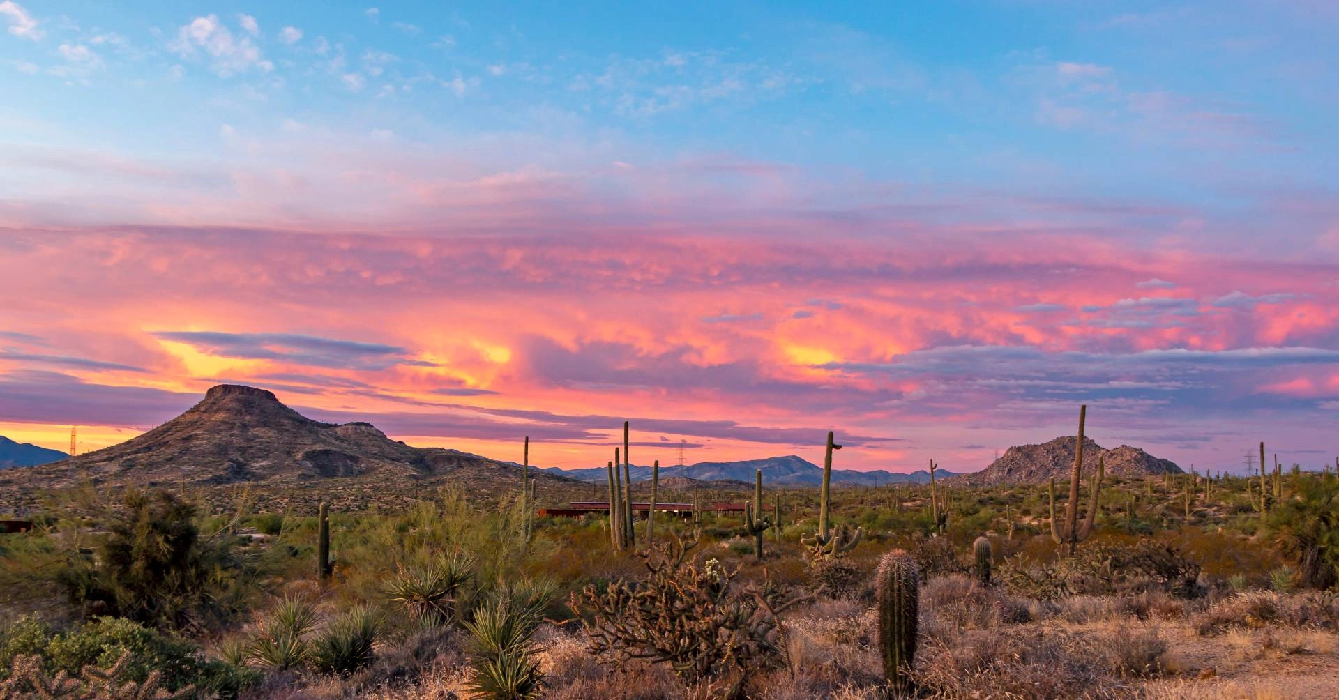 A stunning view of the Sonoran Desert at Desert Shades and Drapery near Phoenix, AZ