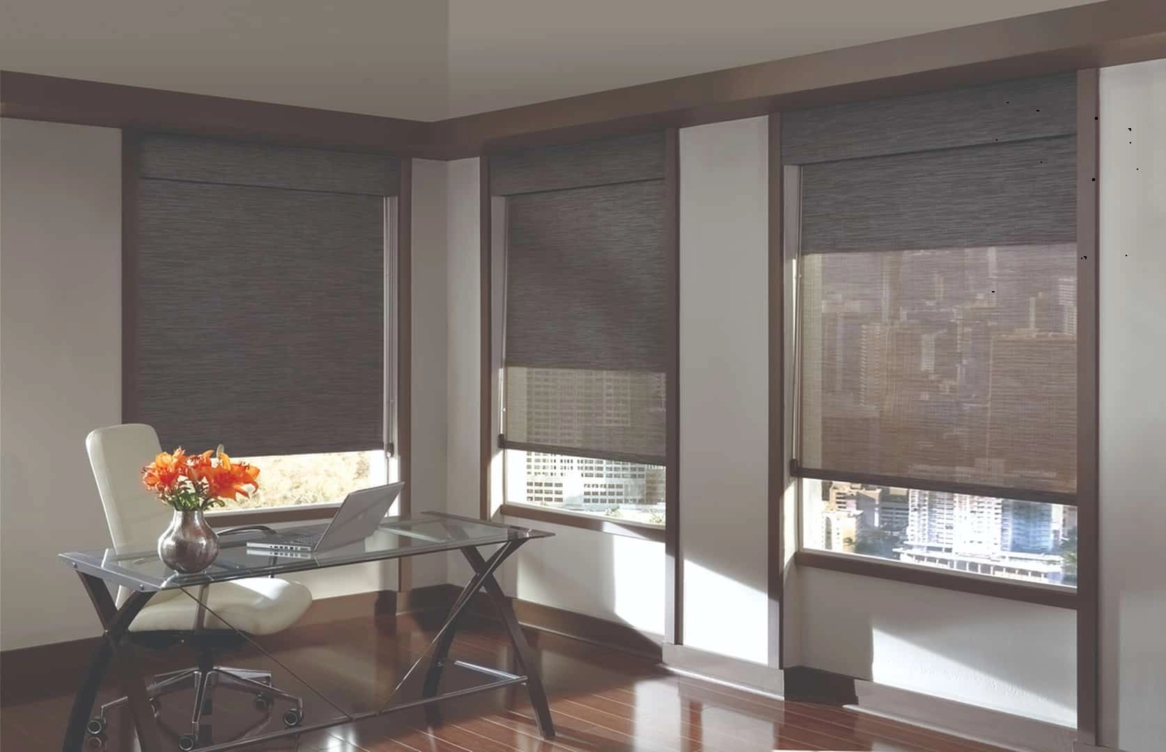 Custom Roller and Solar Shades for Homes Near Anaheim, California (CA) like Designer Screen for Offices