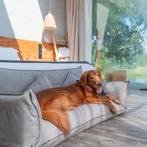 photo: dog bed.jpg