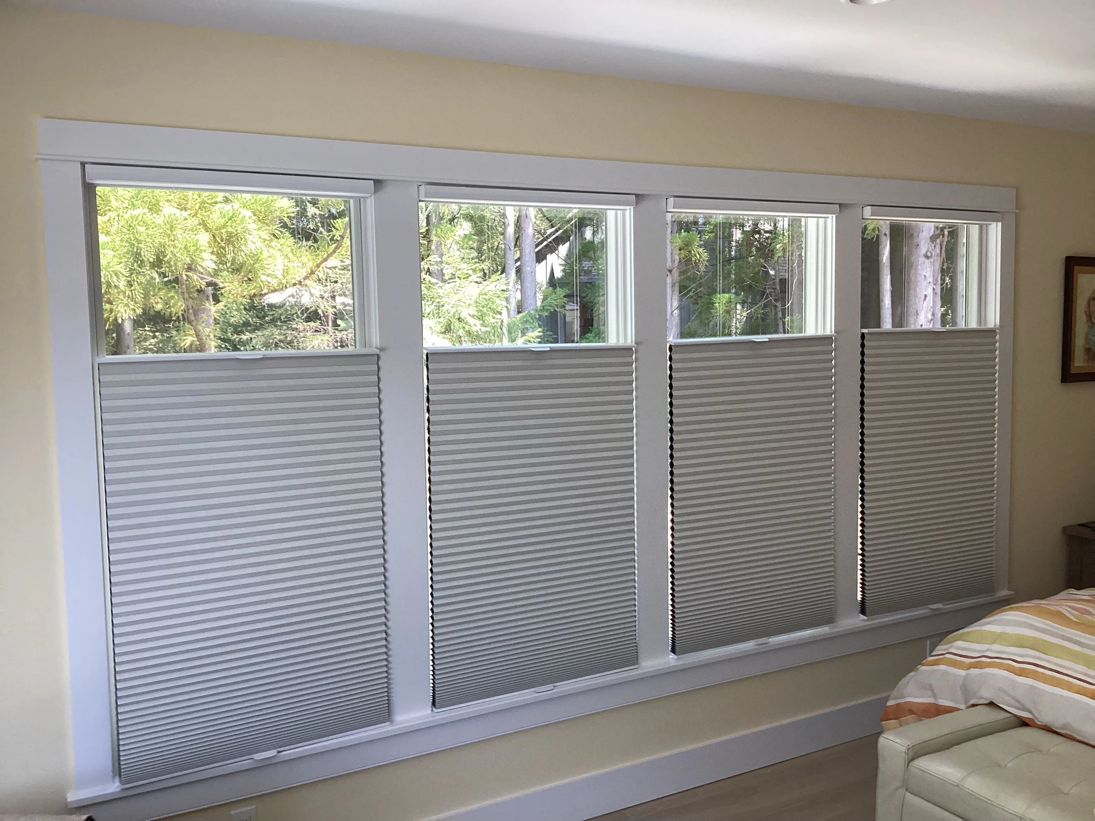 Windows with bottom-up shades.