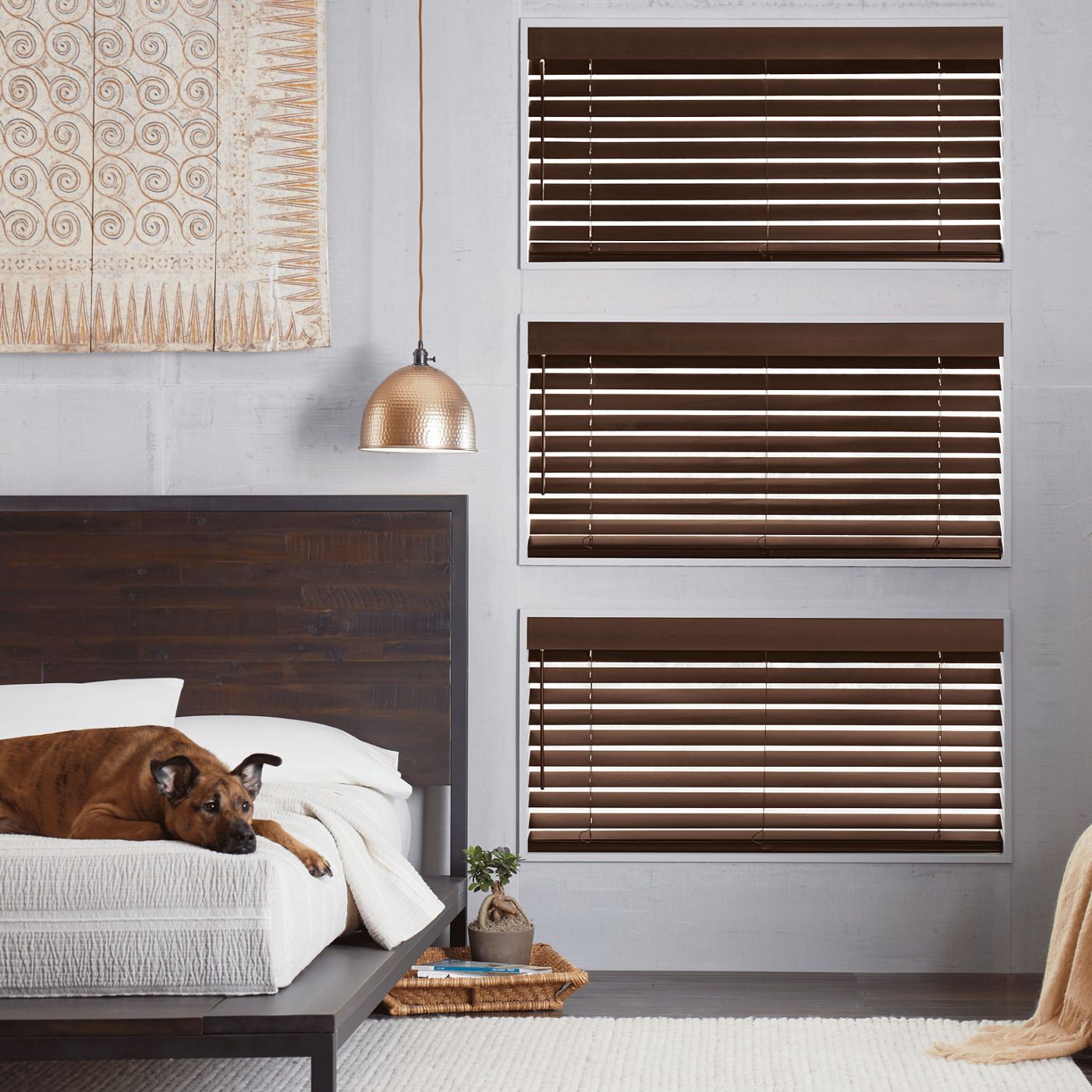 photo: parkland-basswood-allspice-dog:square-lg