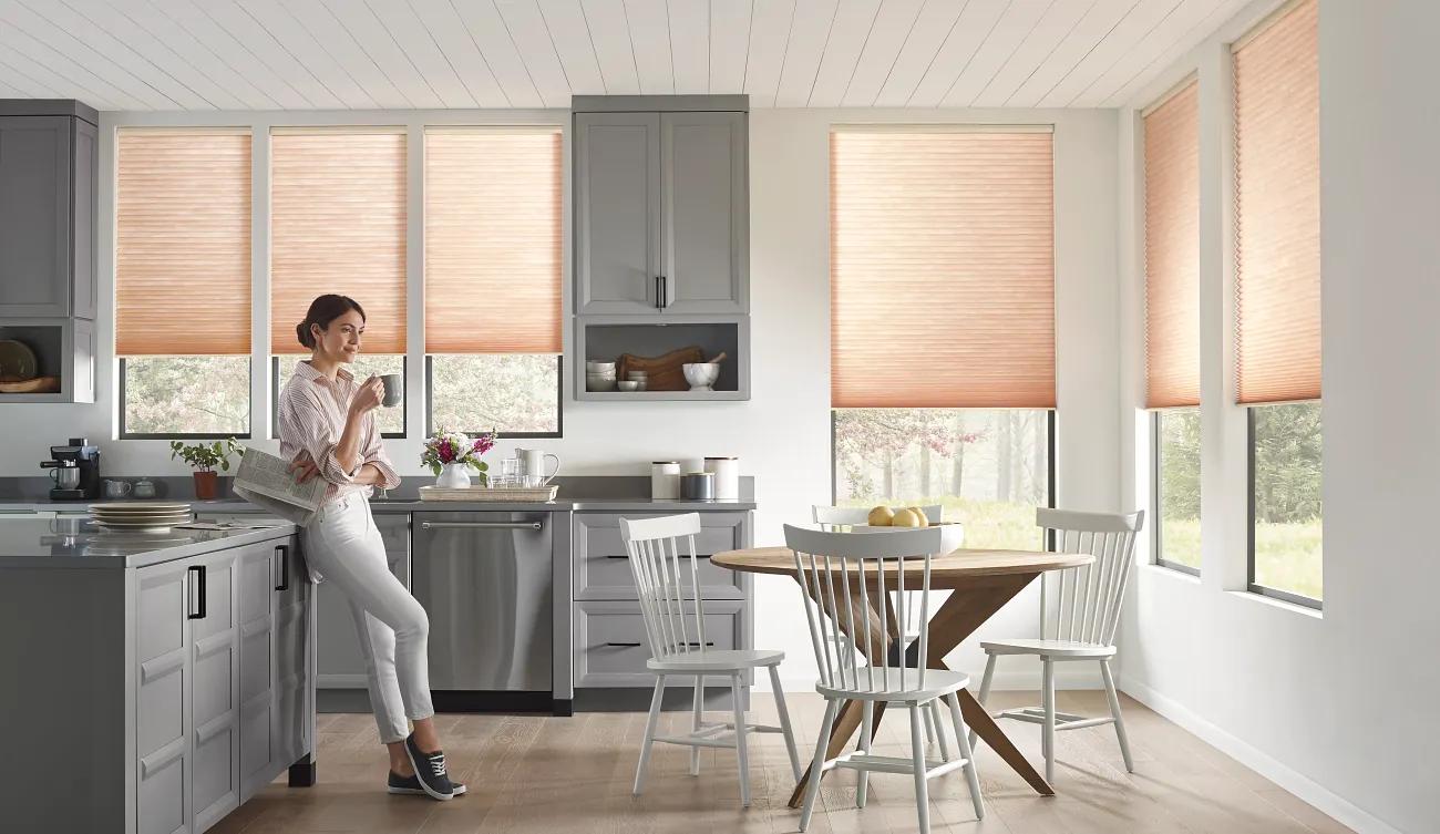 Pirouette Window Shadings