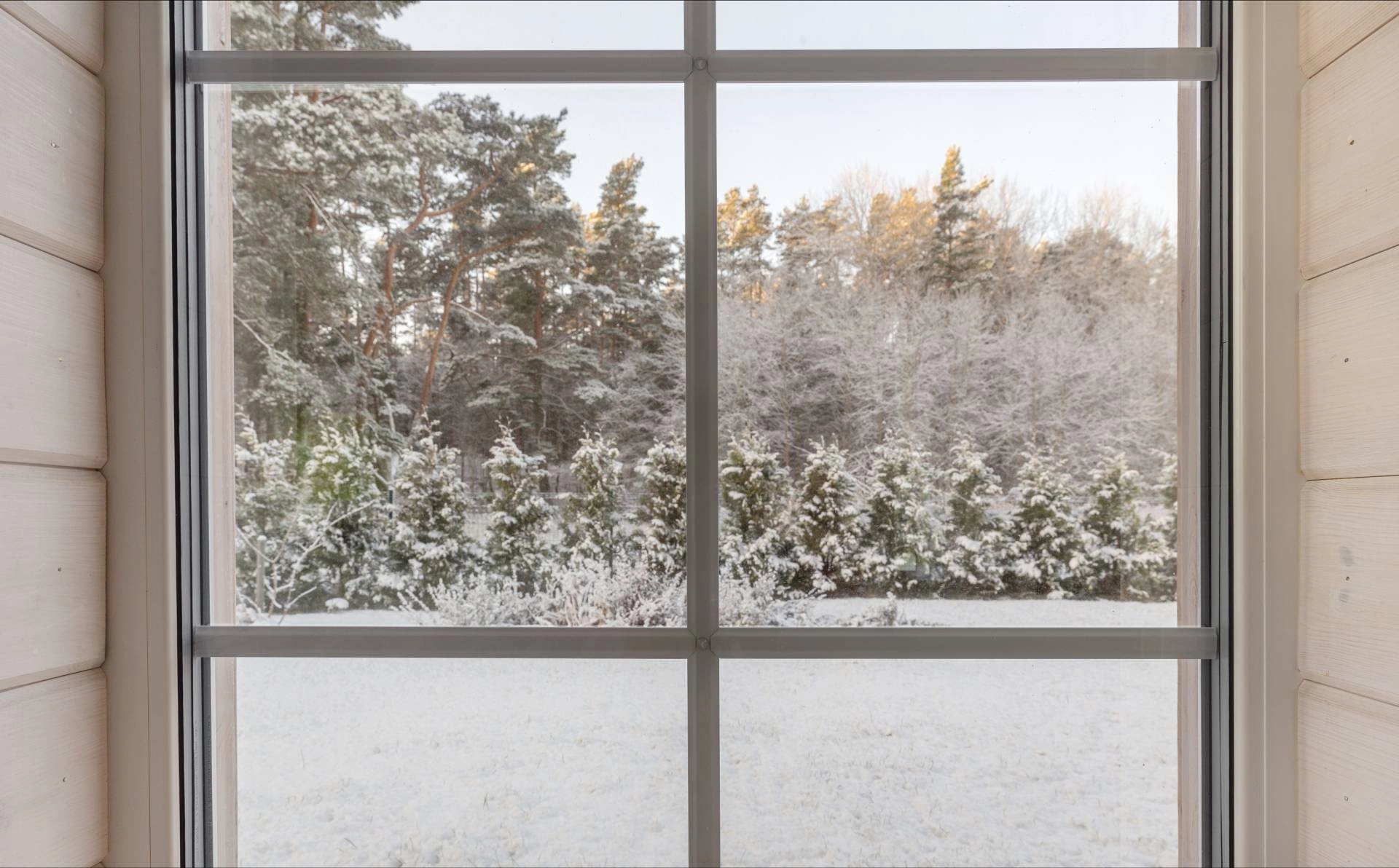 A snowy scene of trees and plants from an uncovered window, letting the brisk air inside