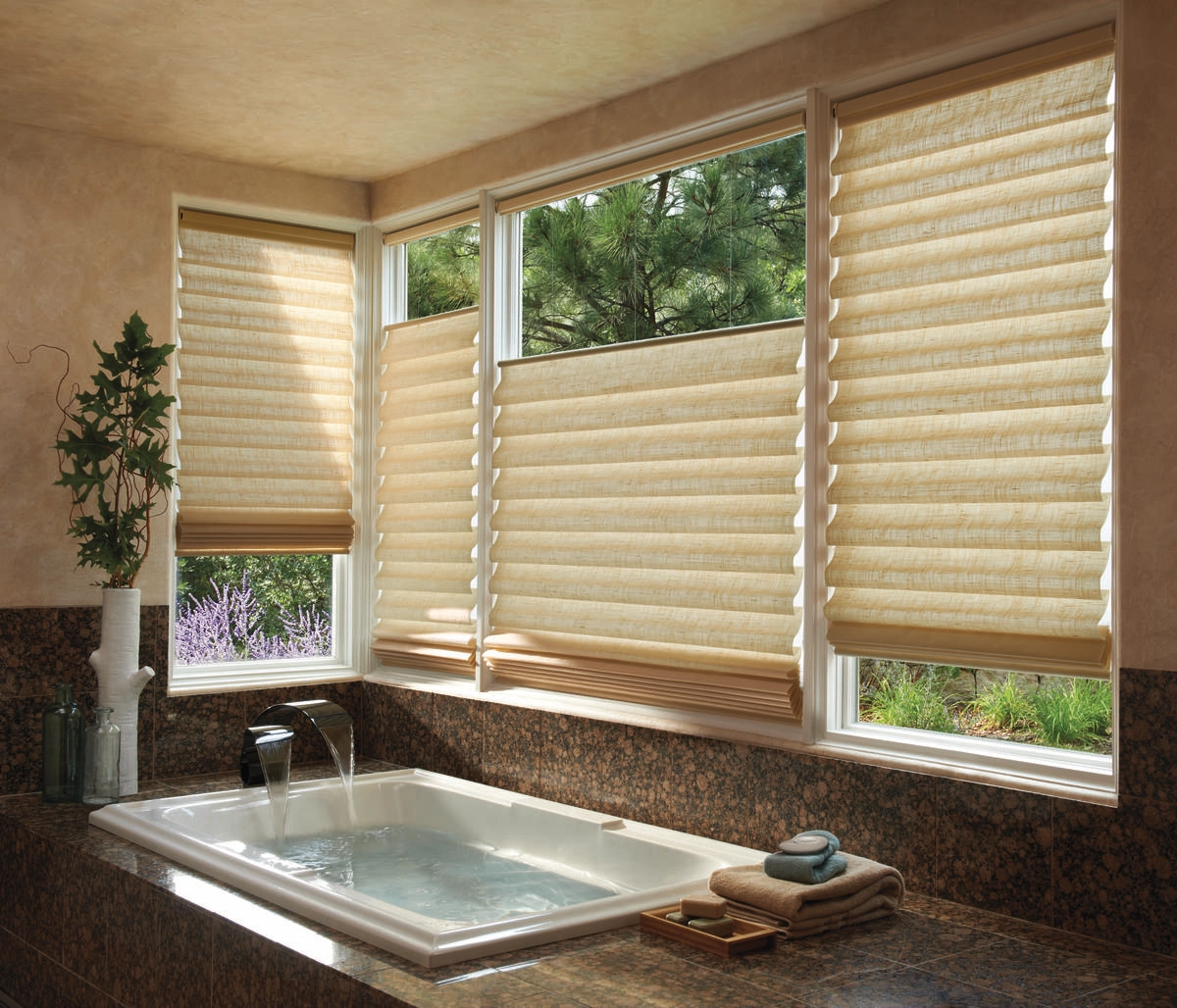 photo: 10041289-banner-best-bathroom-window-treatments-for-homes.jpg