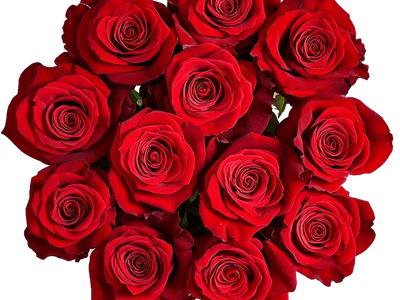 Romo de Rosas