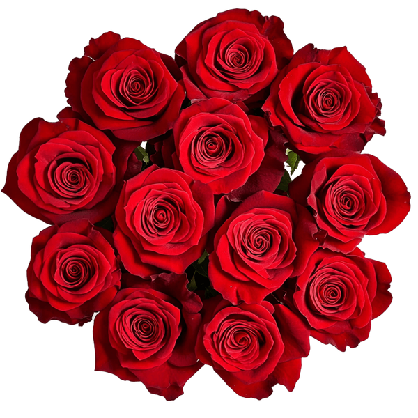 Romo de Rosas