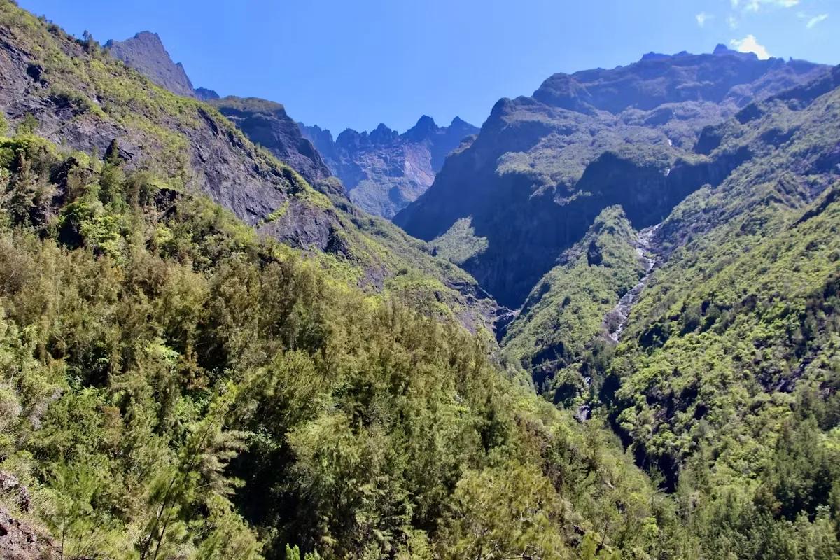 Background for: Fast, responsive build