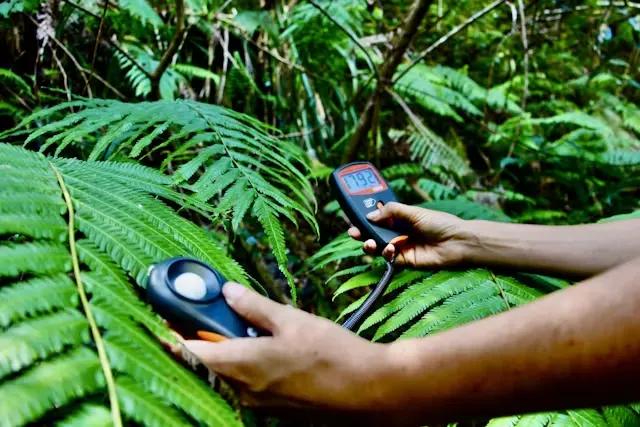 Background for: SEO & accessibility ready