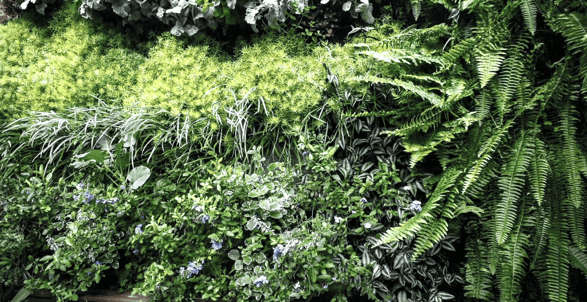 Background for: Eco-friendly visual design