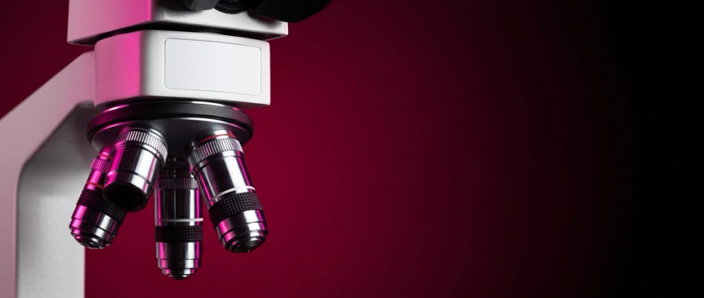 microscopio