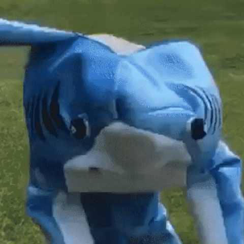 funny shark gif