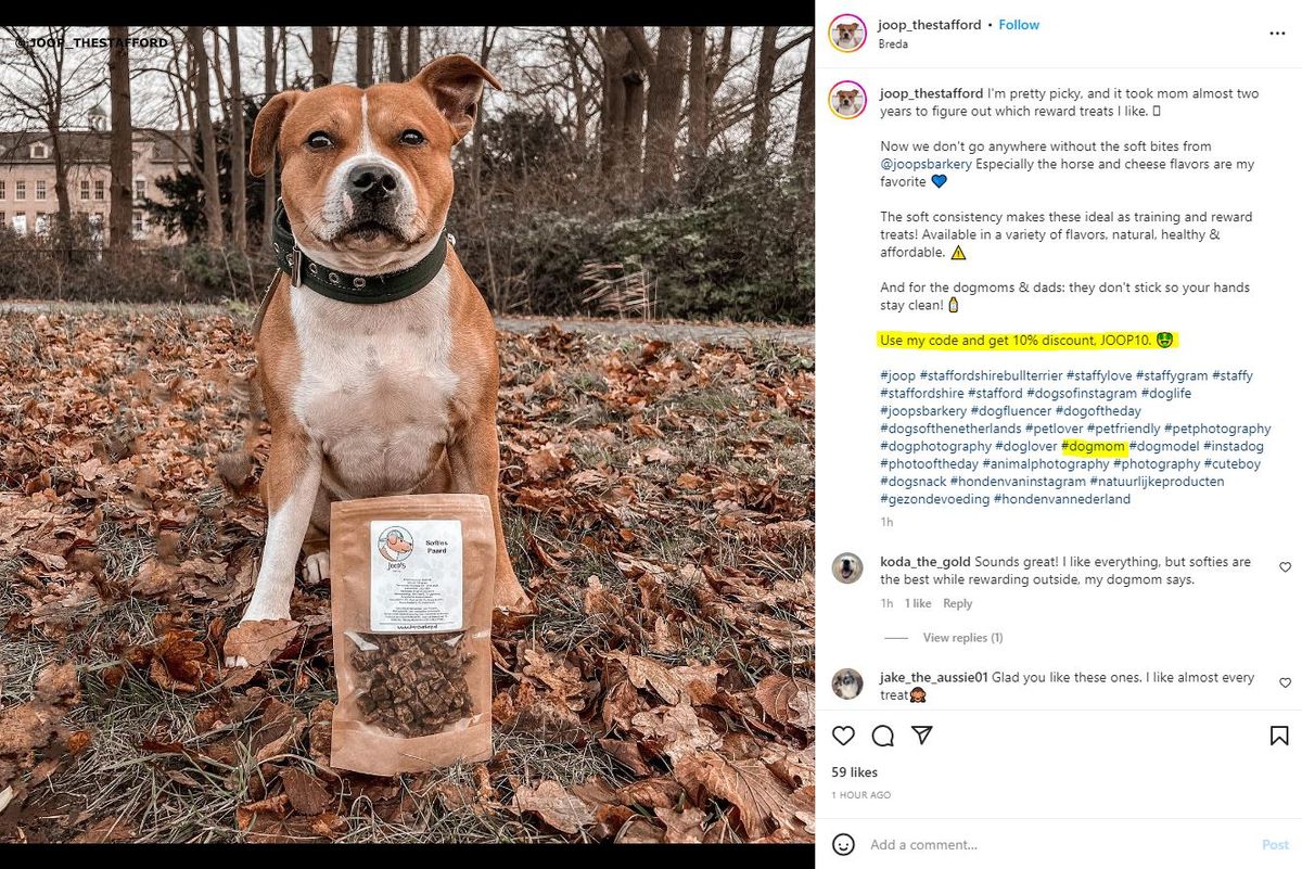 social influencer example dog mom