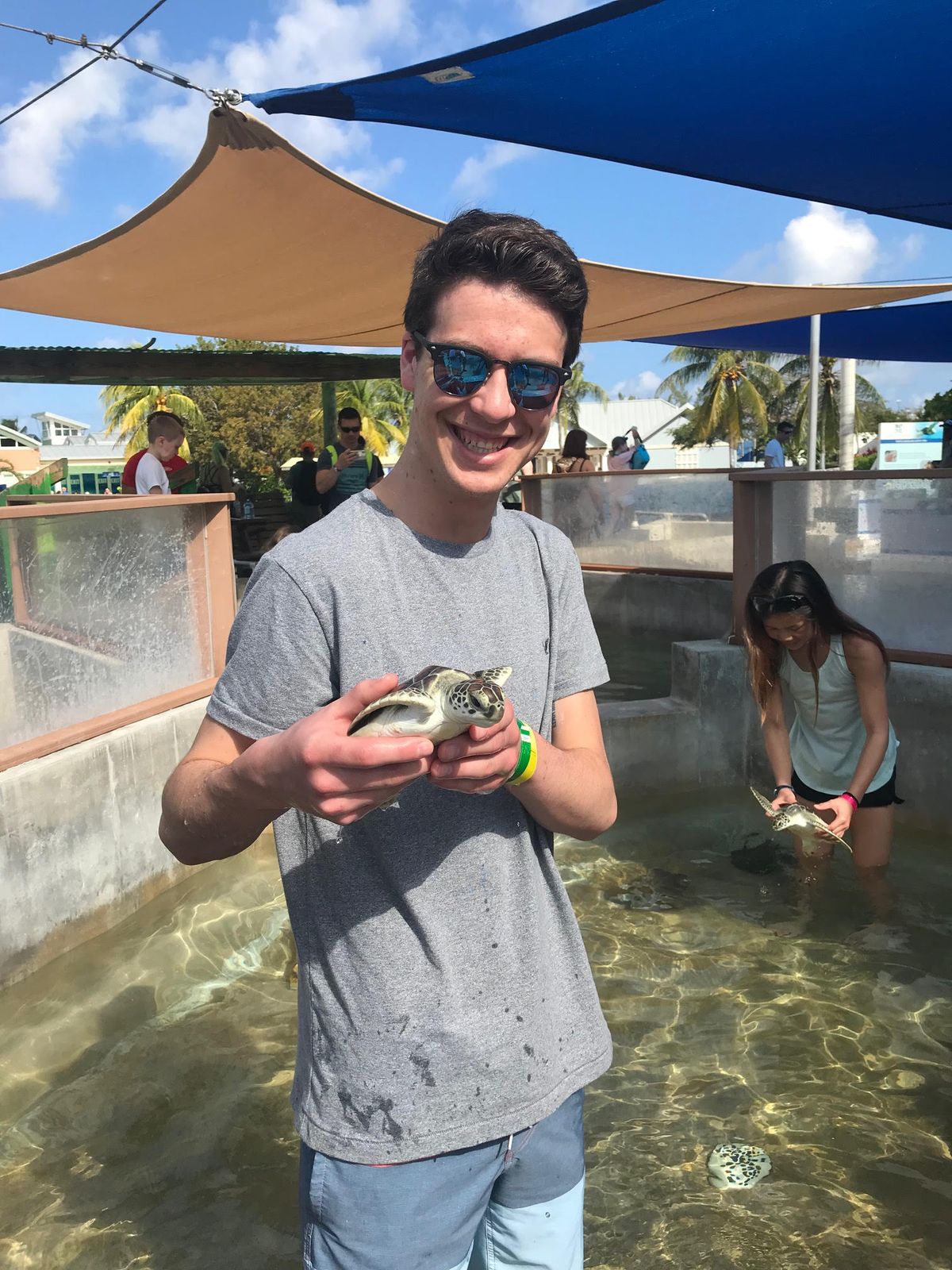 nick loock adshark
