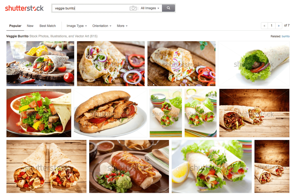 Veggie Burrito Search