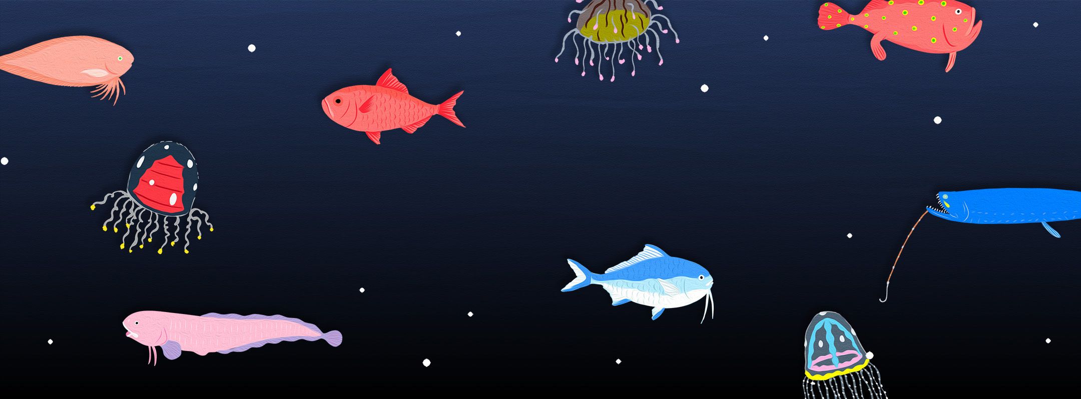 LOEWE HOLIDAYS | Stink Studios