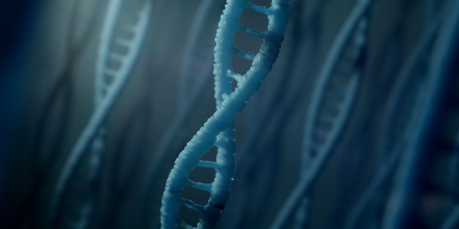 The Adventure Gene Test | Stink Studios