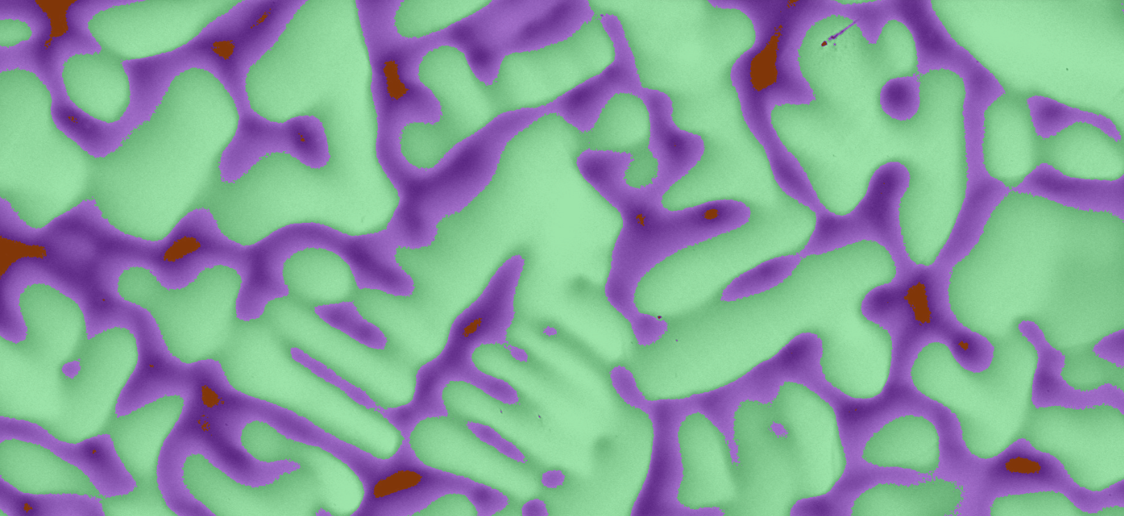 Lab equipment and SEM images. 