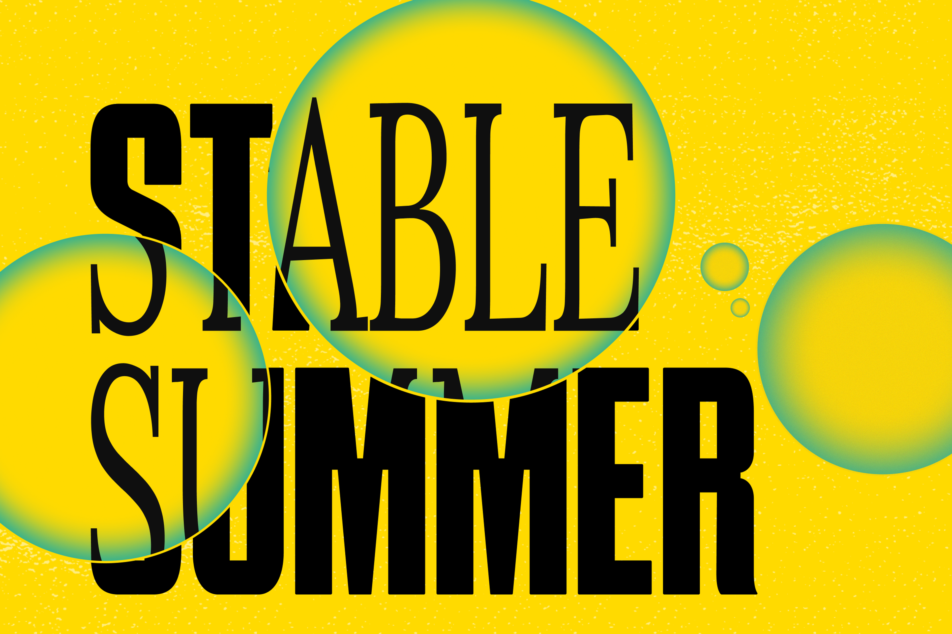 Stellar Stable Summer!!