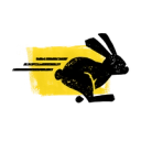 fast bunny icon