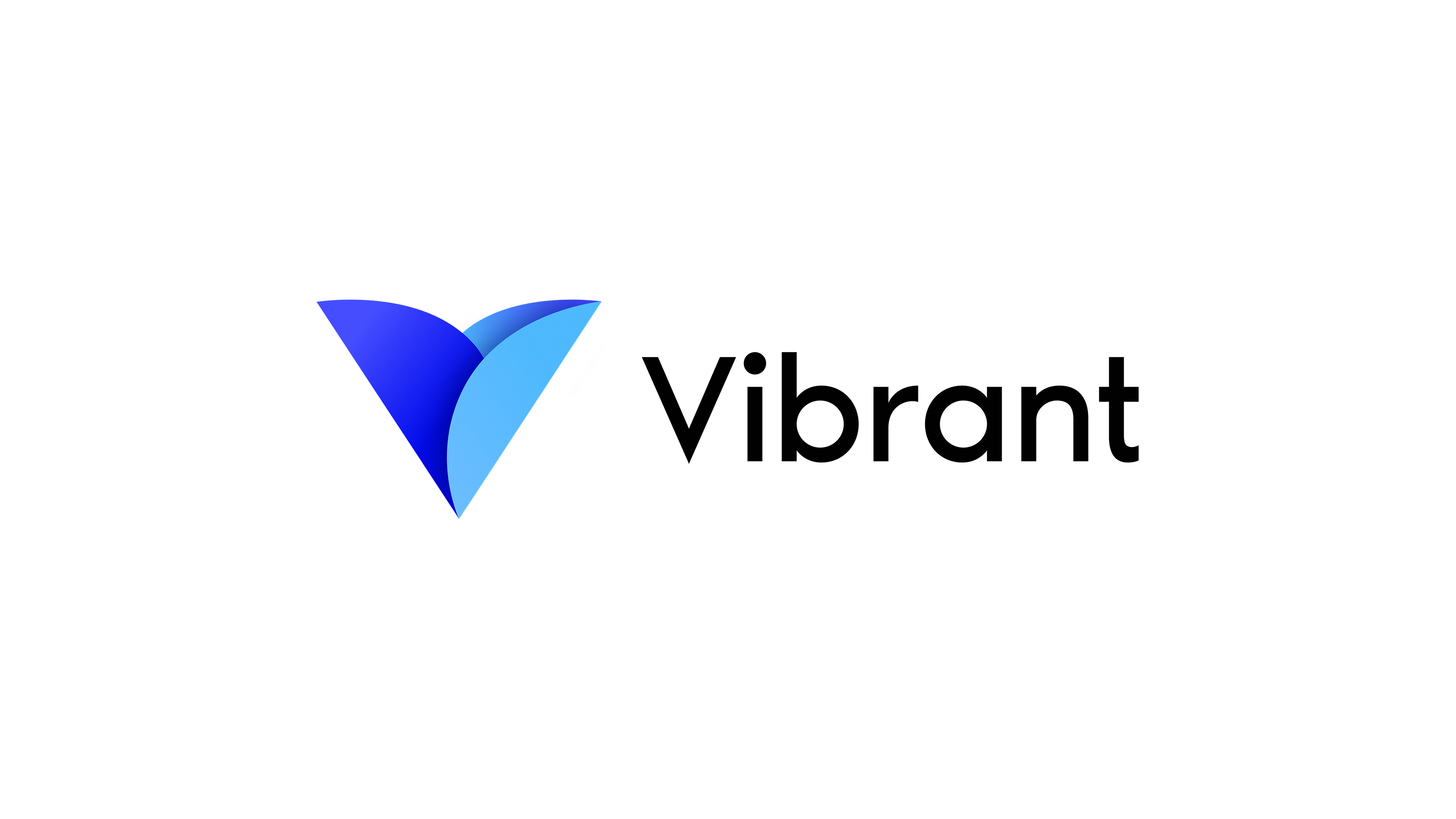 Vibrant Case Study