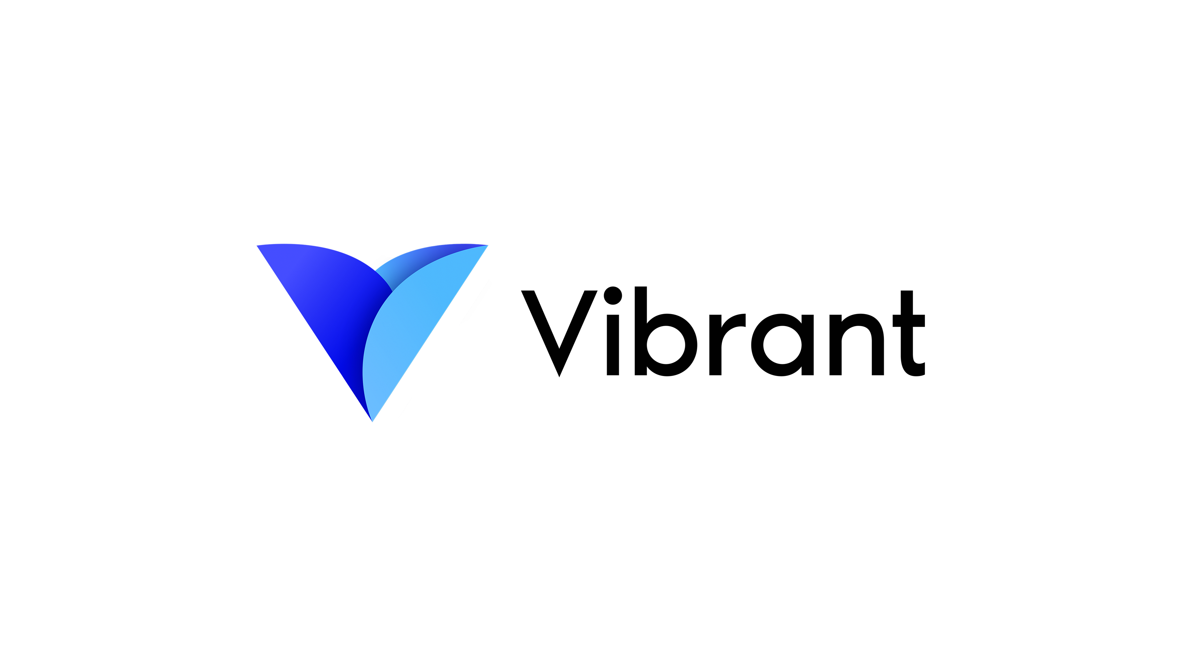 Vibrant Case Study