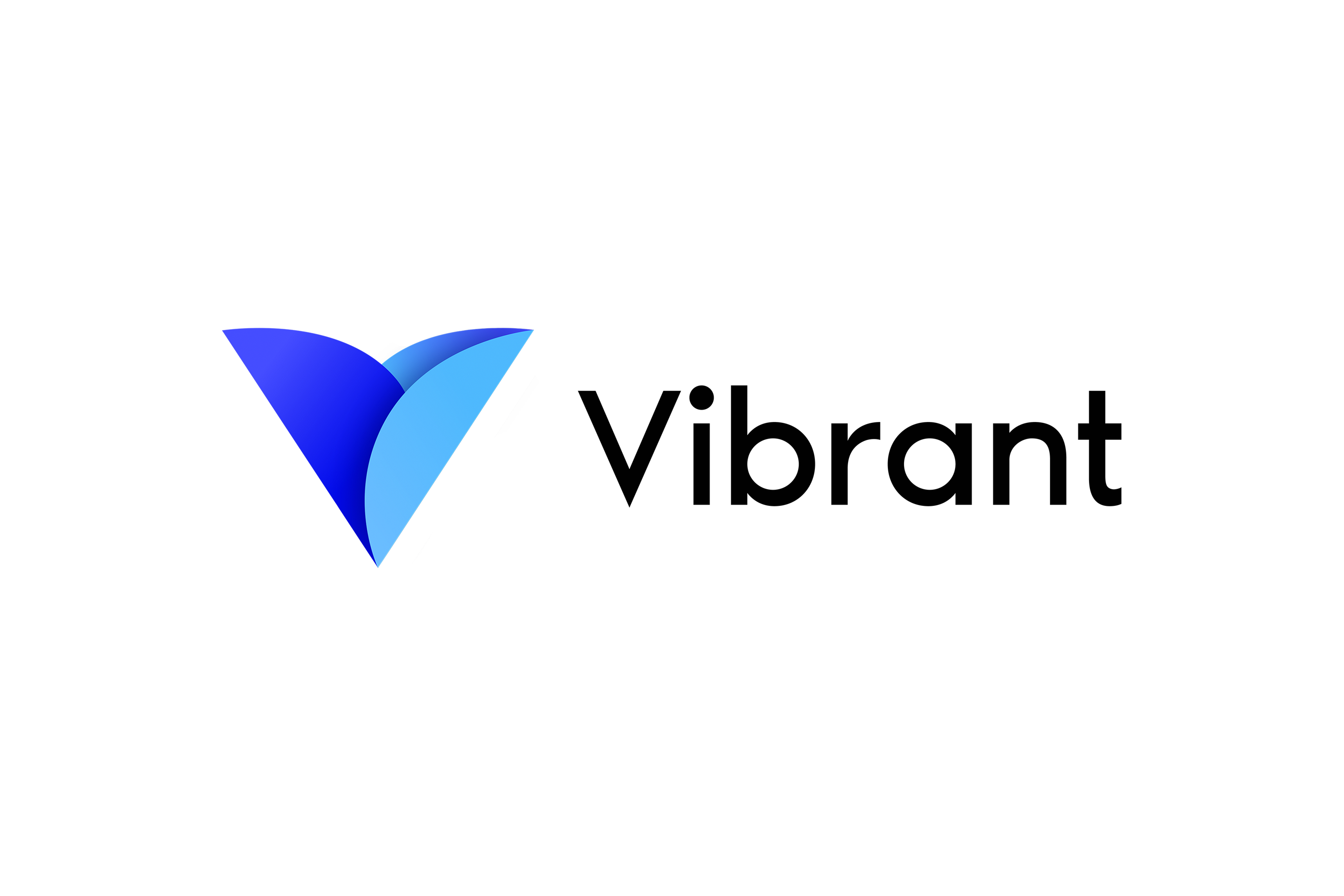 Vibrant Case Study
