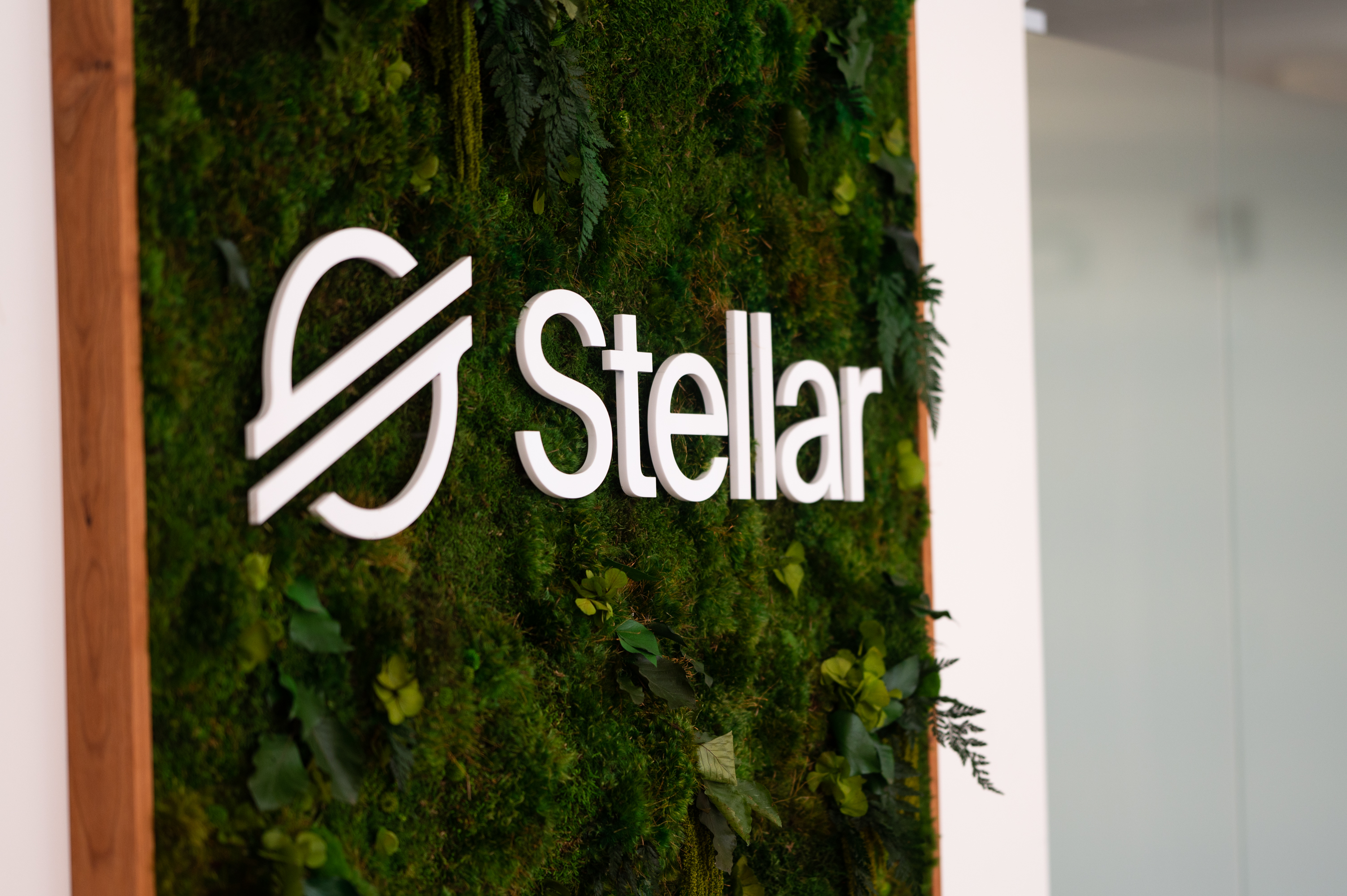 Stellar Apps office