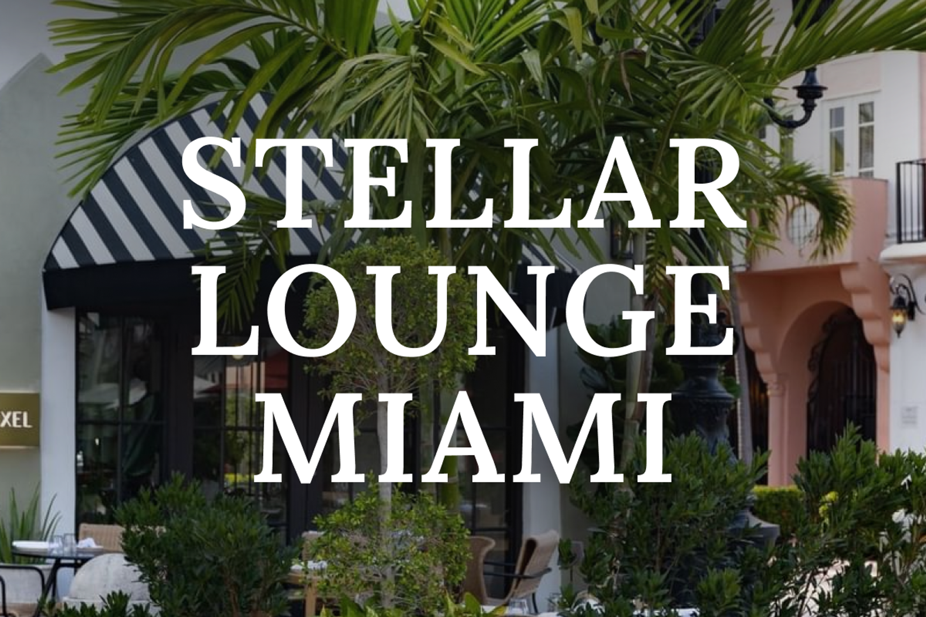 Stellar Lounge at Consensus Miami