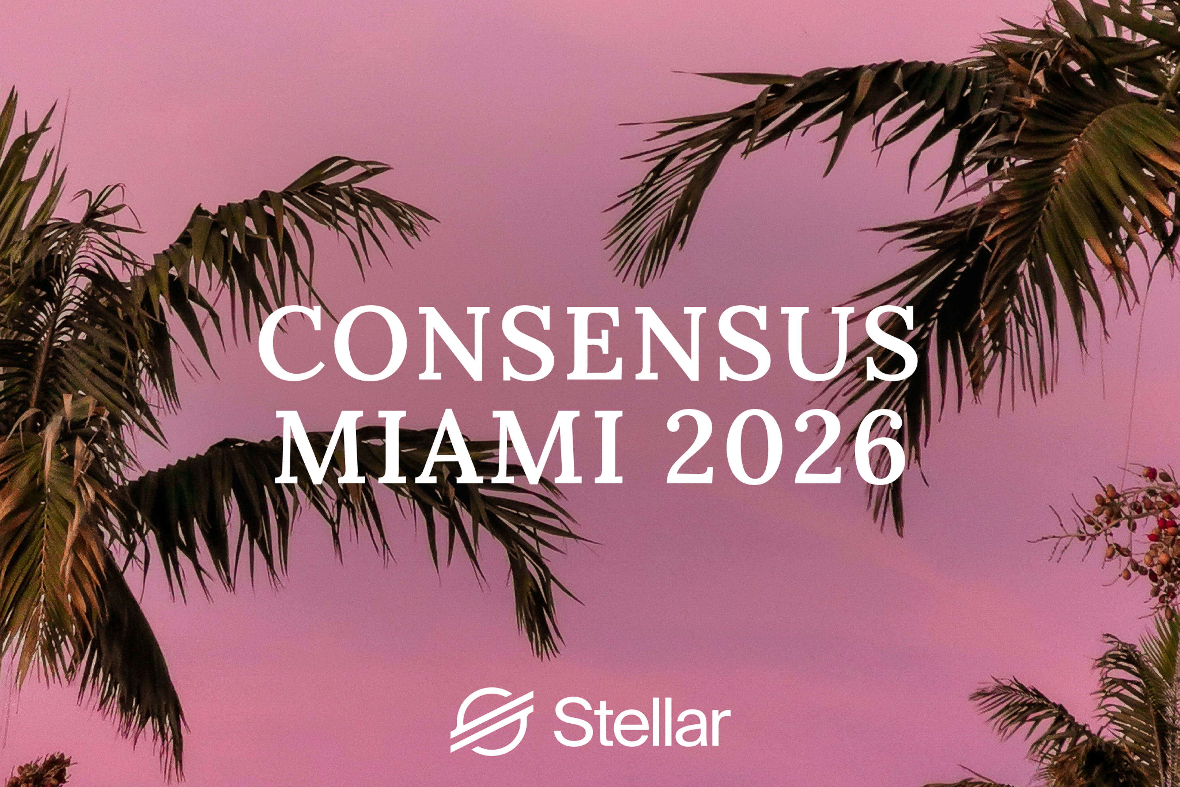 Stellar at Consensus Miami