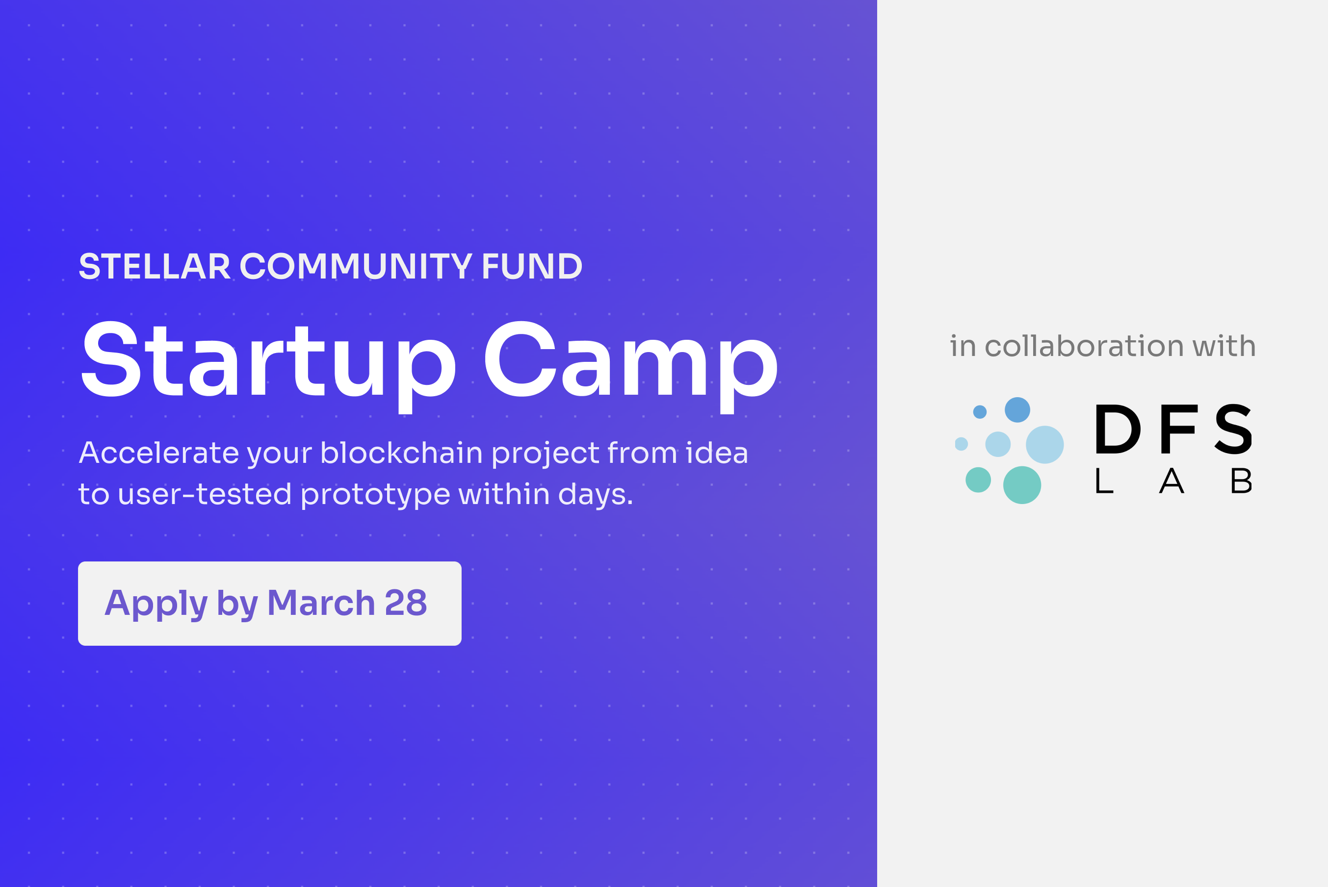 Stellar | SDF x DFS Lab: Blockchain Startup Camps are Here!