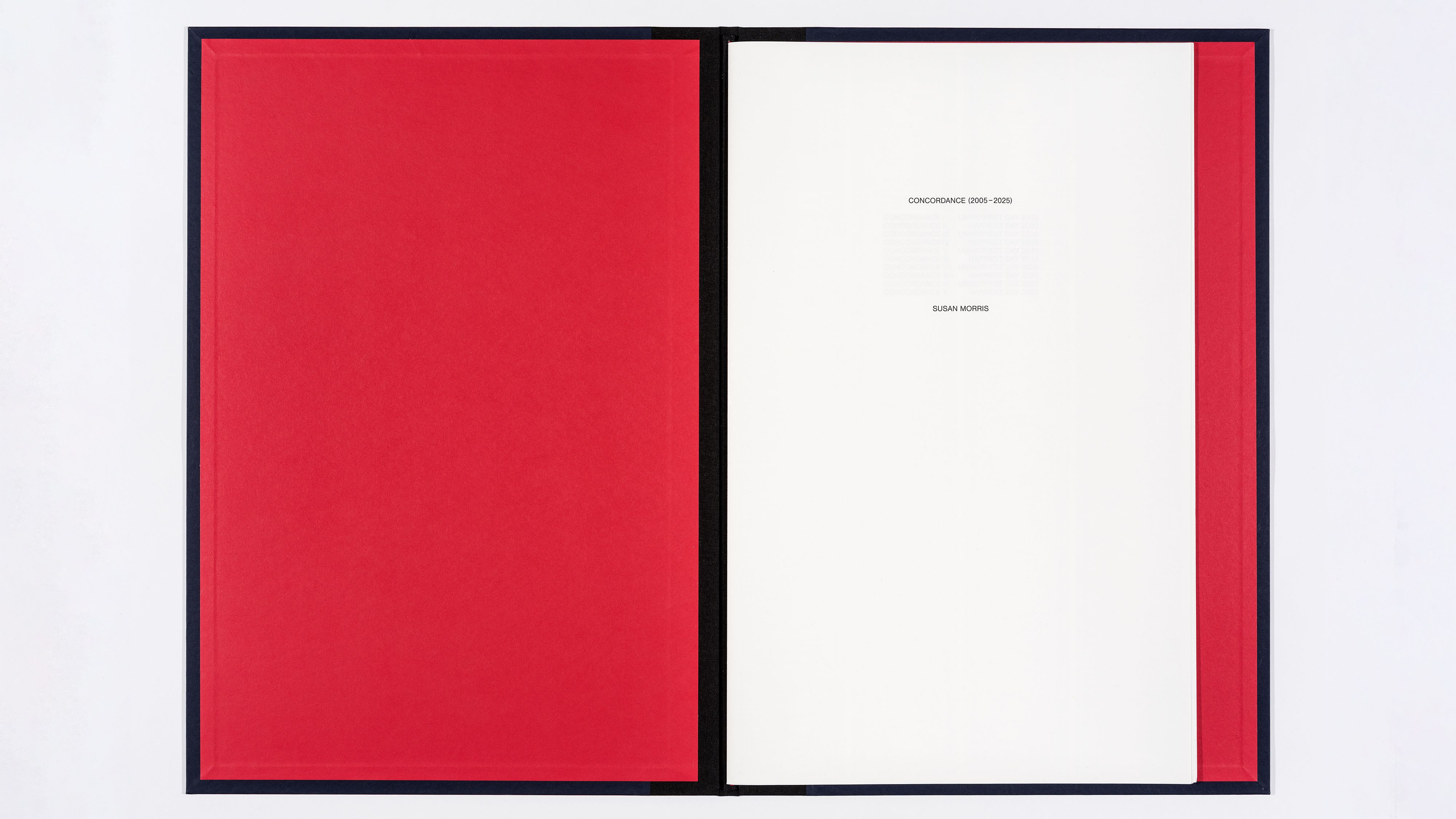 Installation view, Susan Morris: Concordance