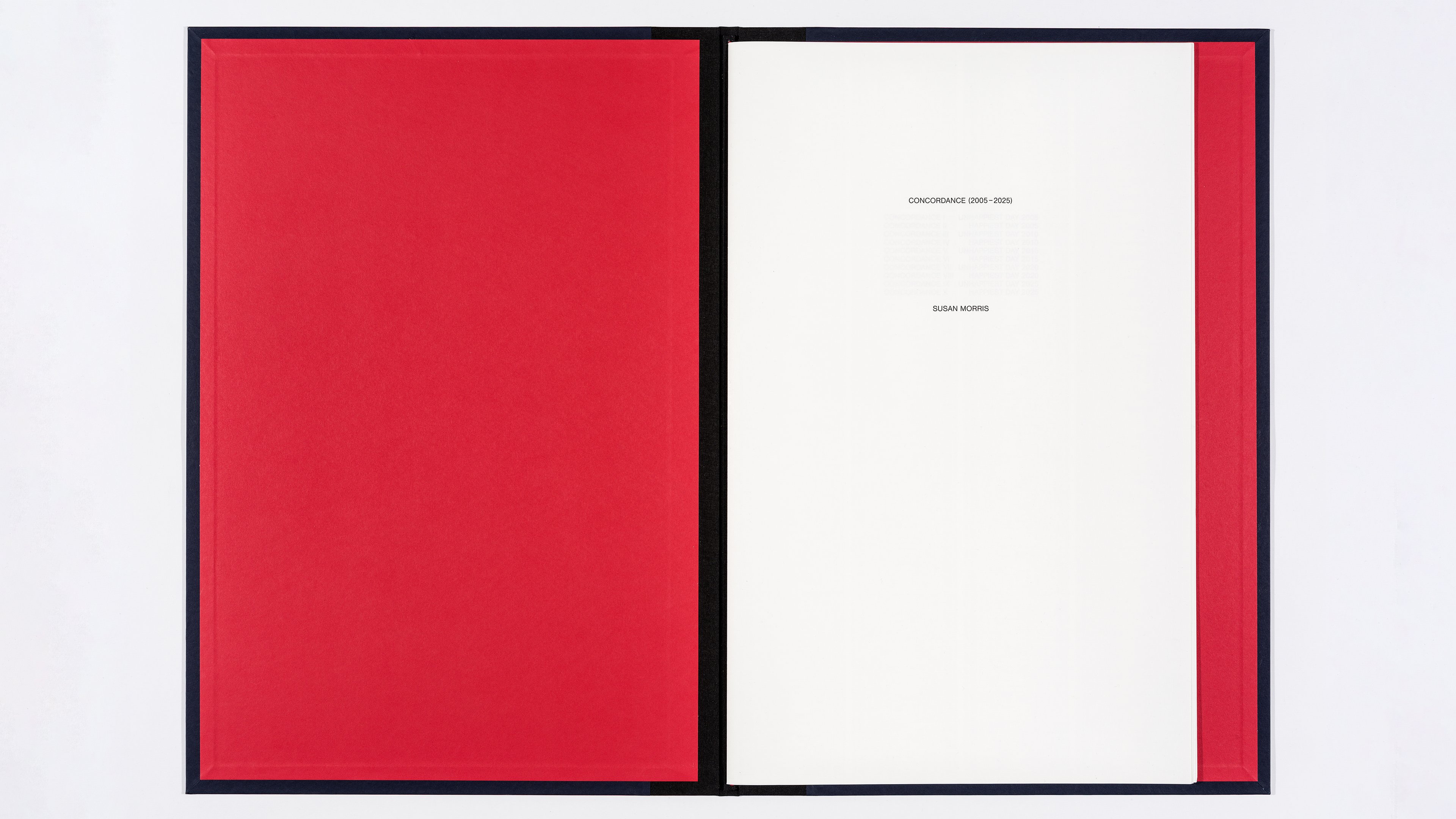 Installation view, Susan Morris: Concordance