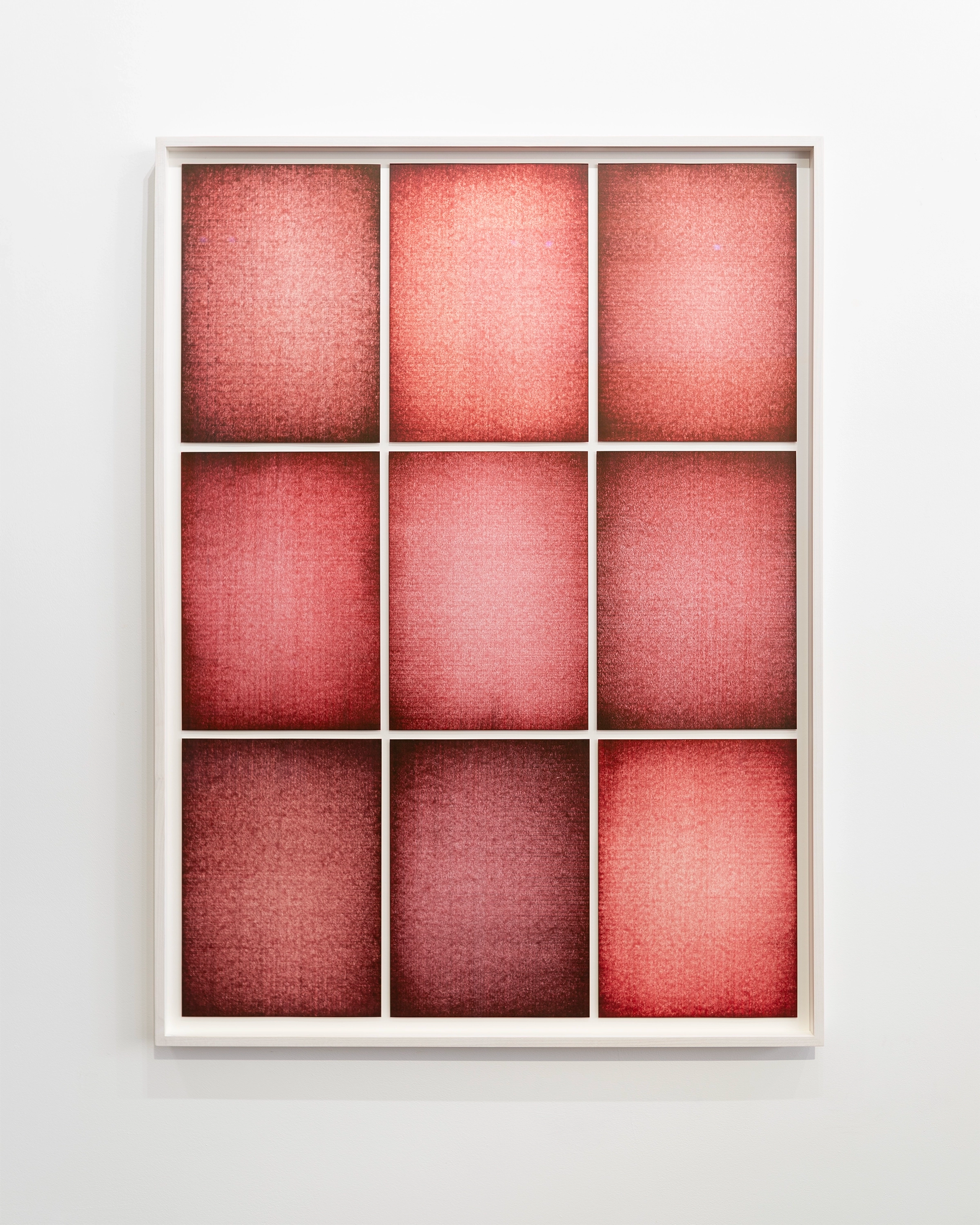 London Window Reds