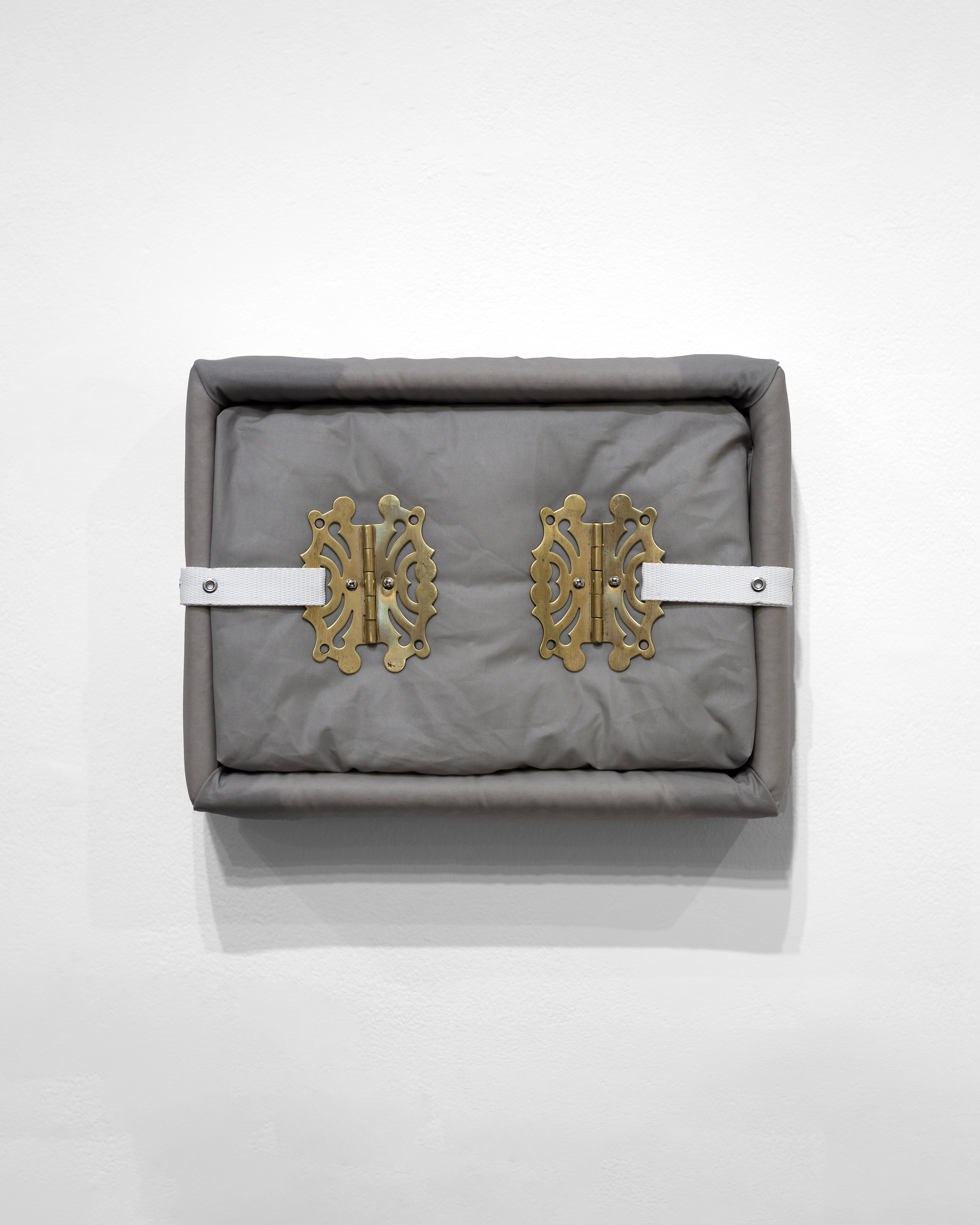 Water-Repellent Case with Secured Cabinet Hinges