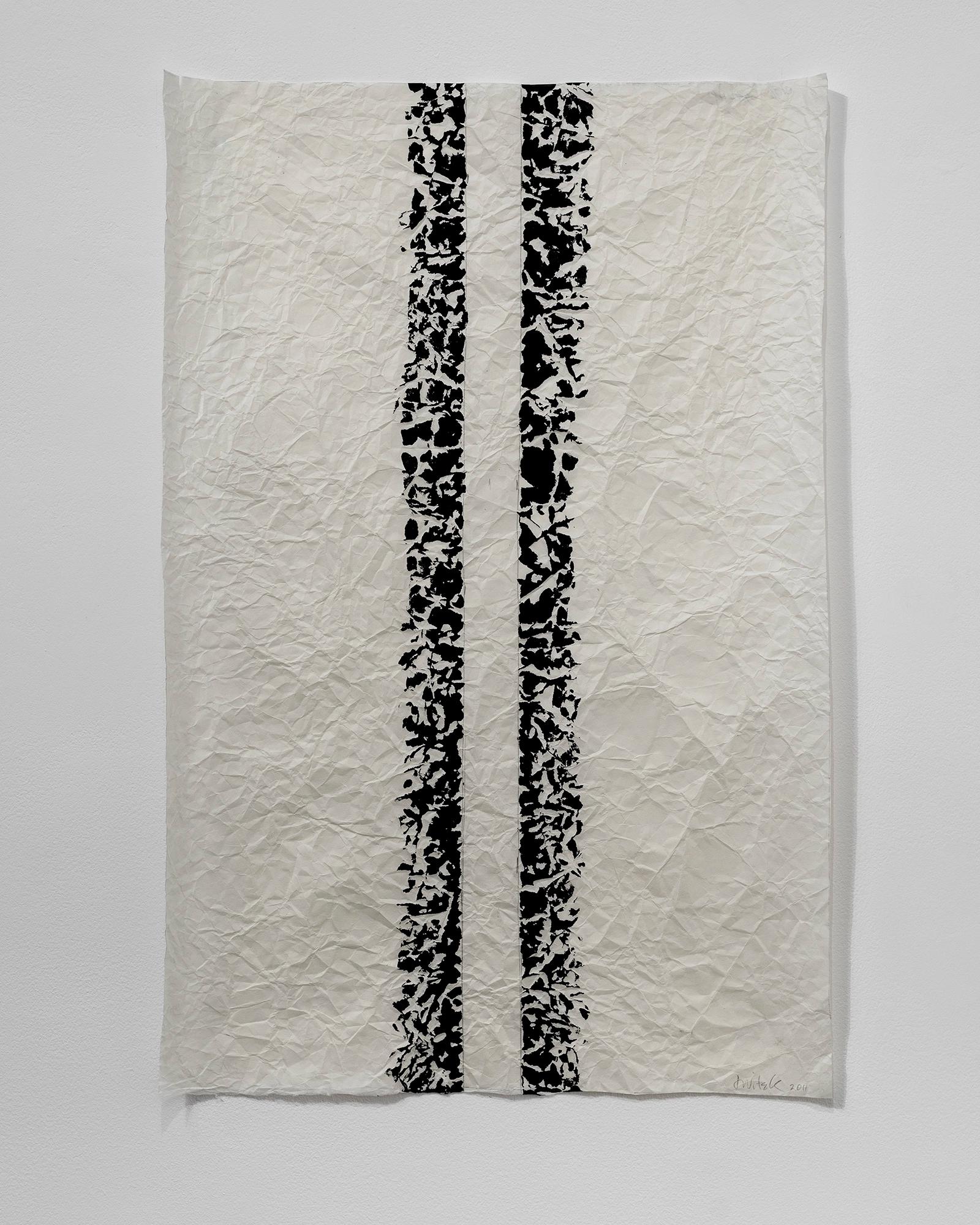 Joan Witek: Black as a living colour