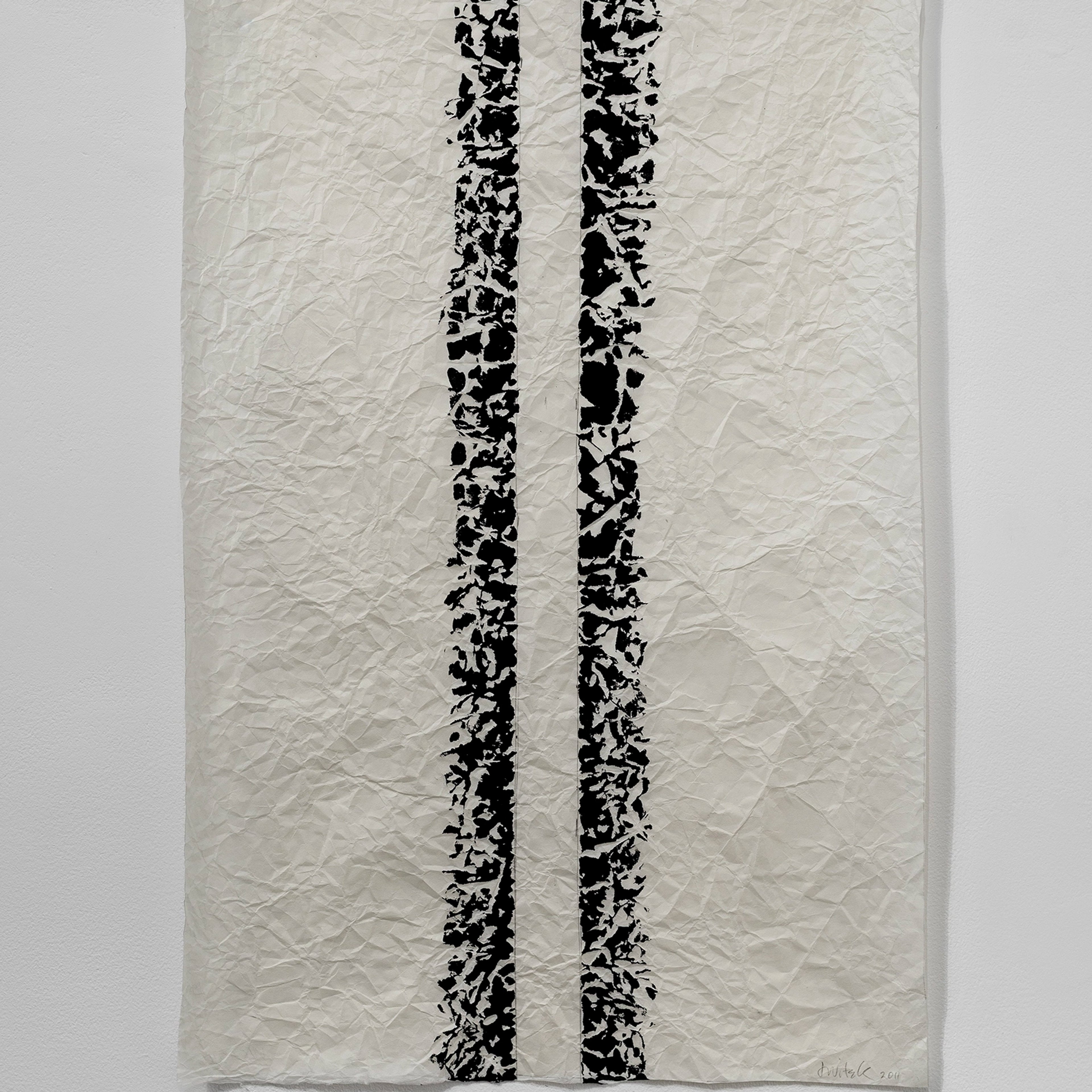 Joan Witek: Black as a living colour