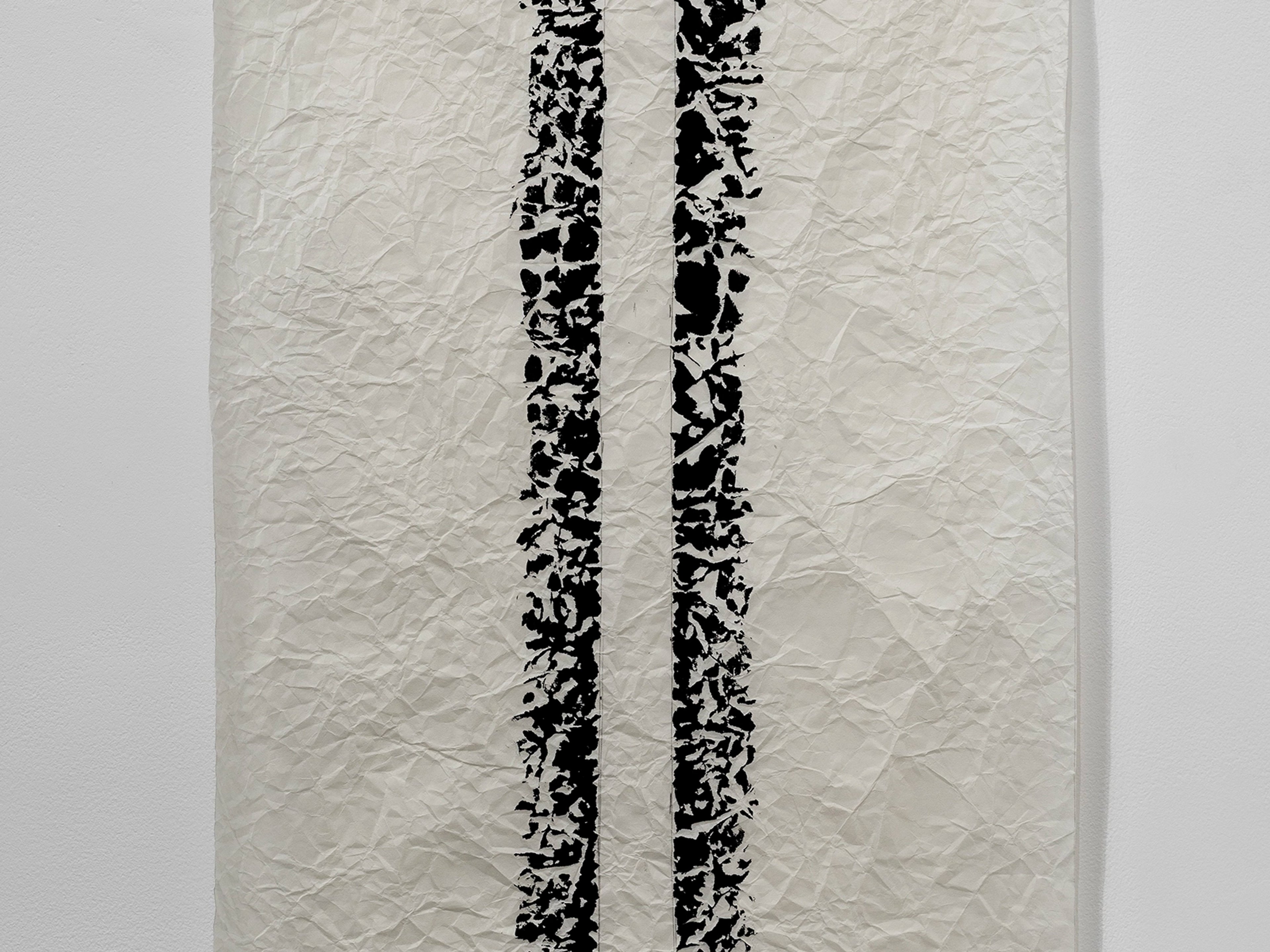 Joan Witek: Black as a living colour