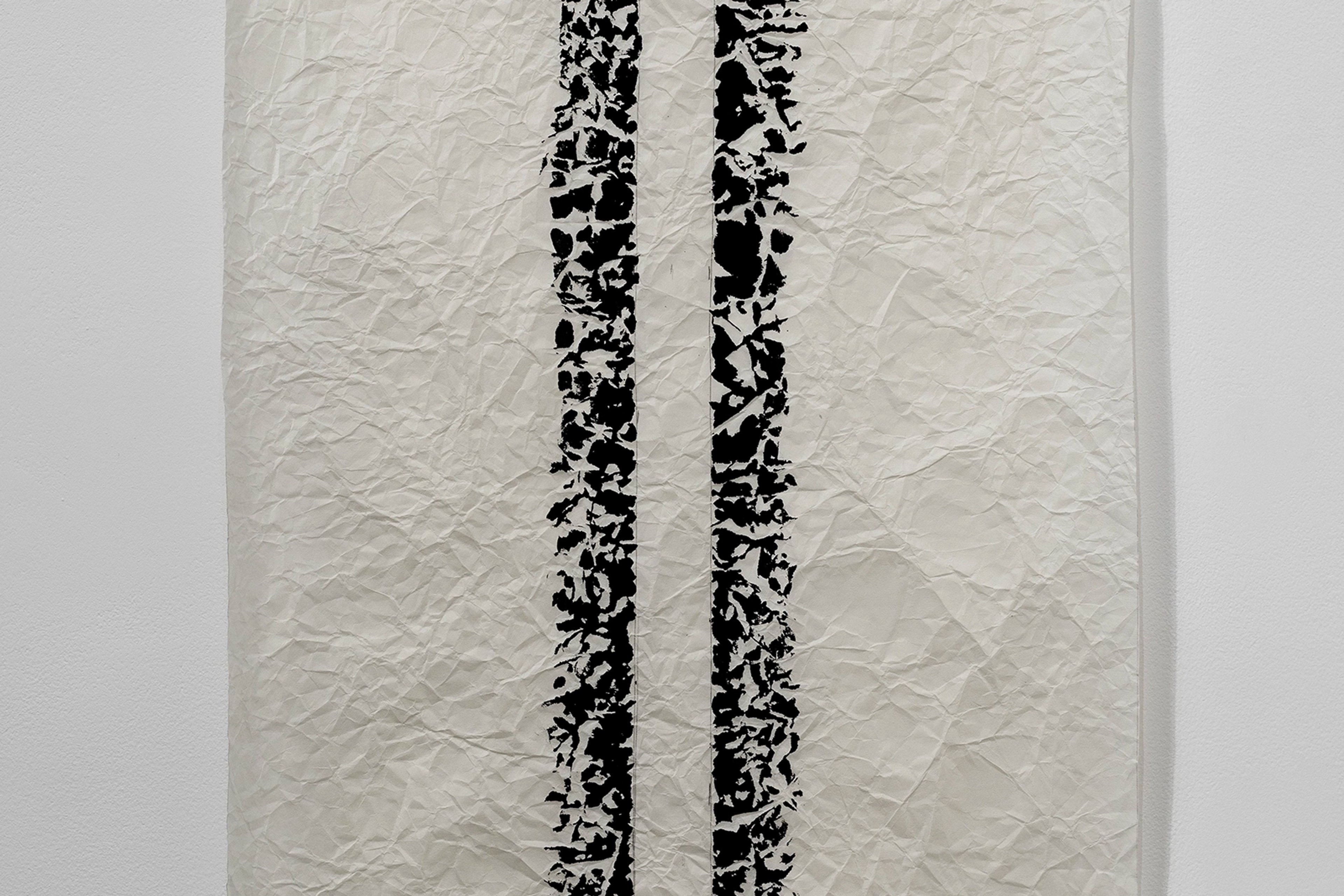 Joan Witek: Black as a living colour