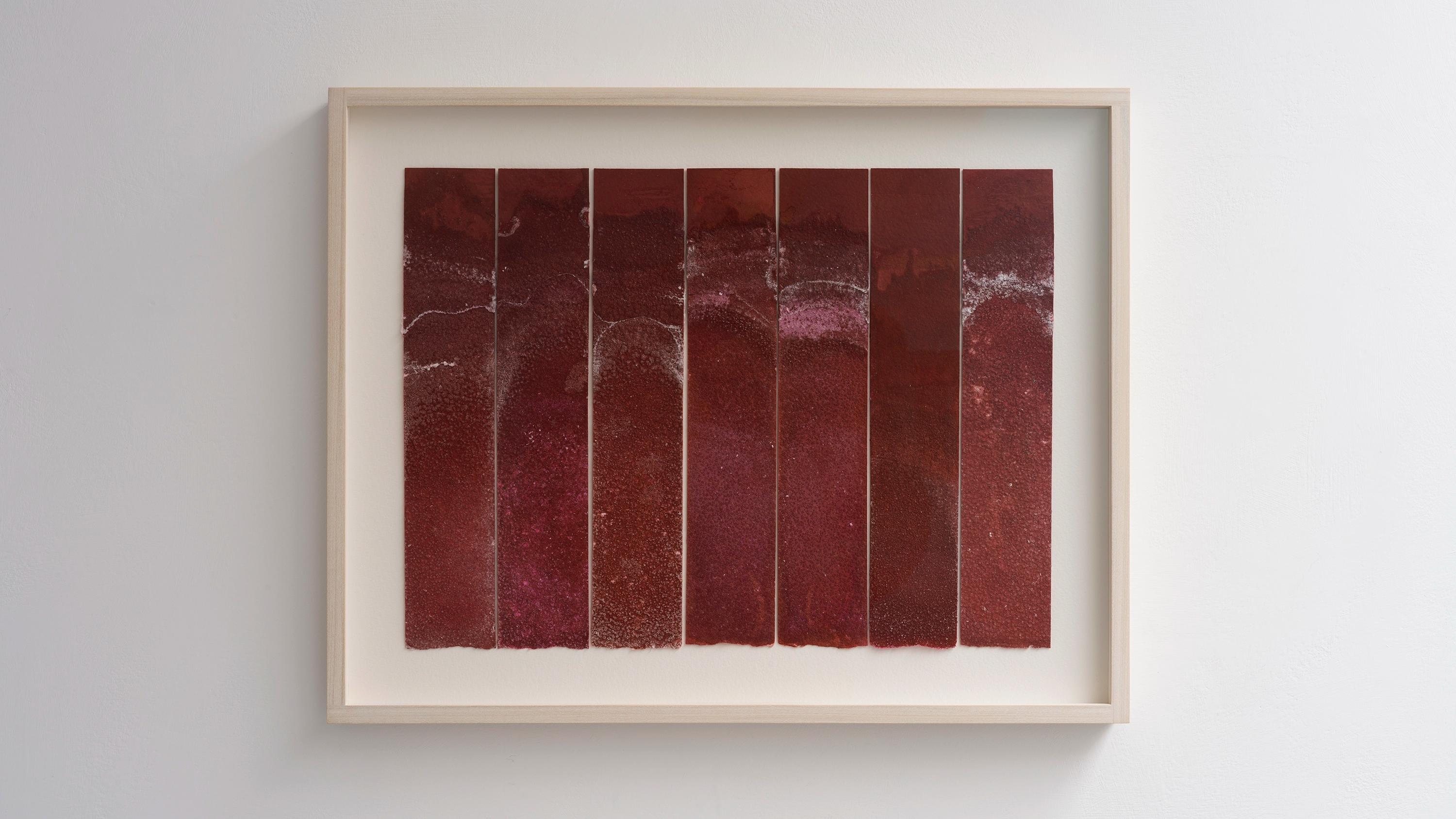 Lucinda Burgess Morphosis