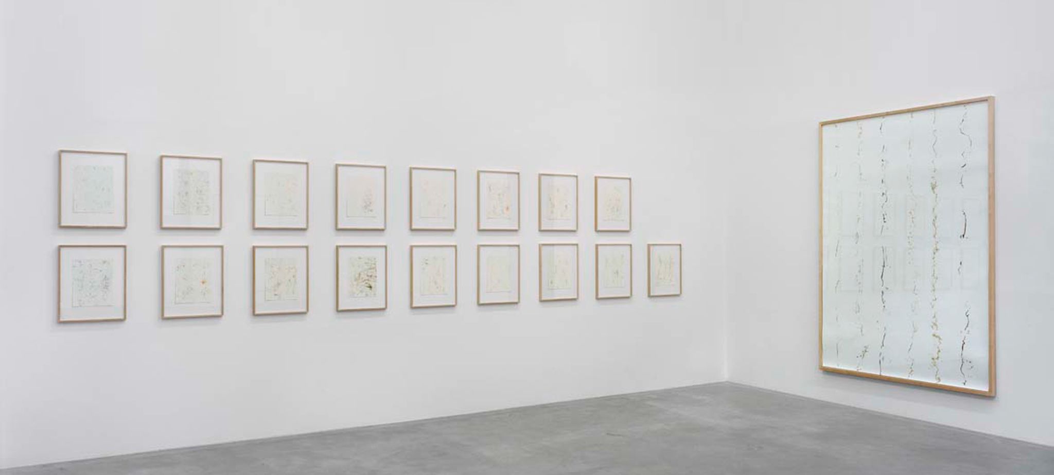 PEAC, Freiburg, 2008‍