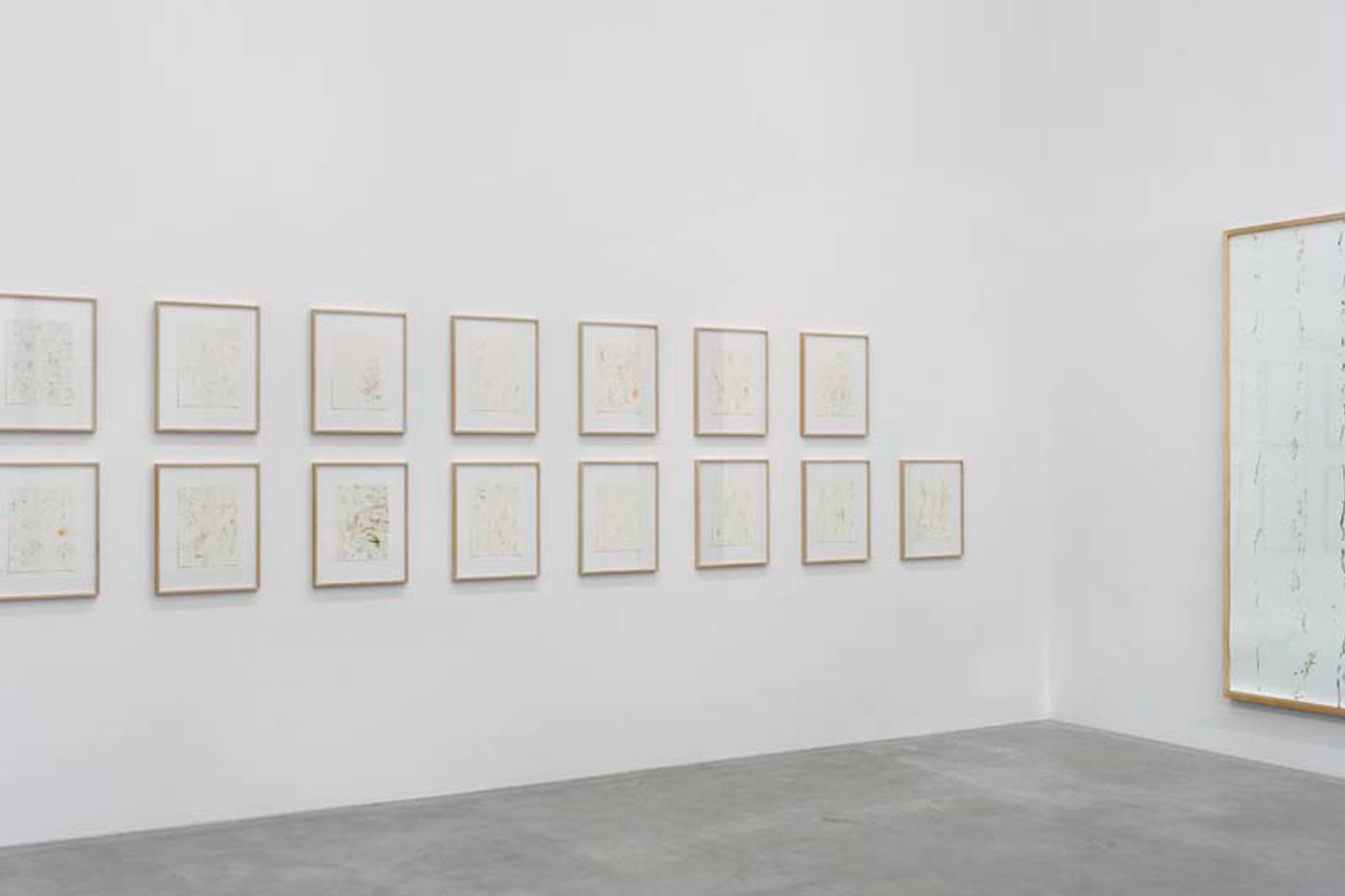 PEAC, Freiburg, 2008