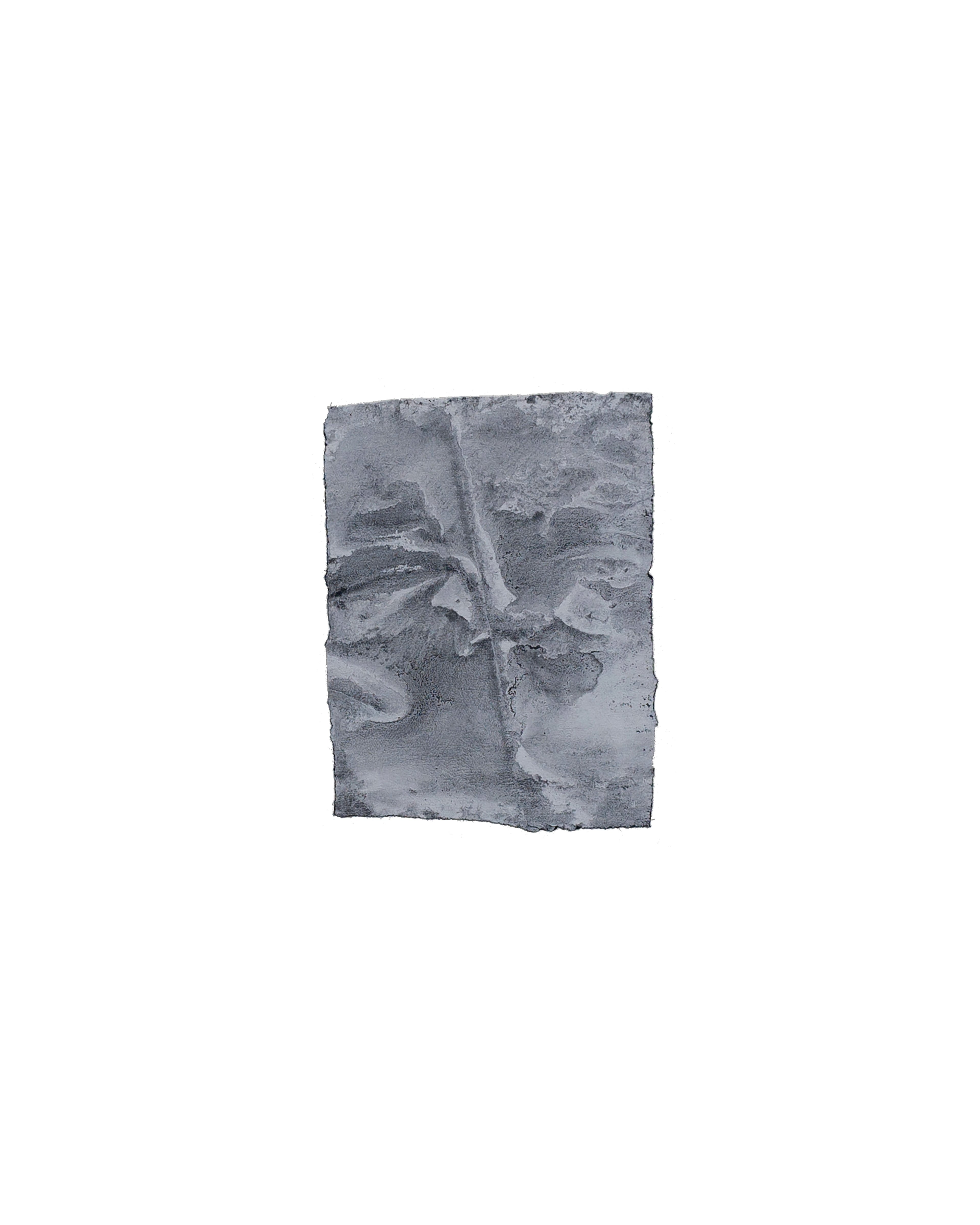 Muted grey watercolour depicting abstracted organic forms and foliage on textured vinyl-saturated paper with irregular edges