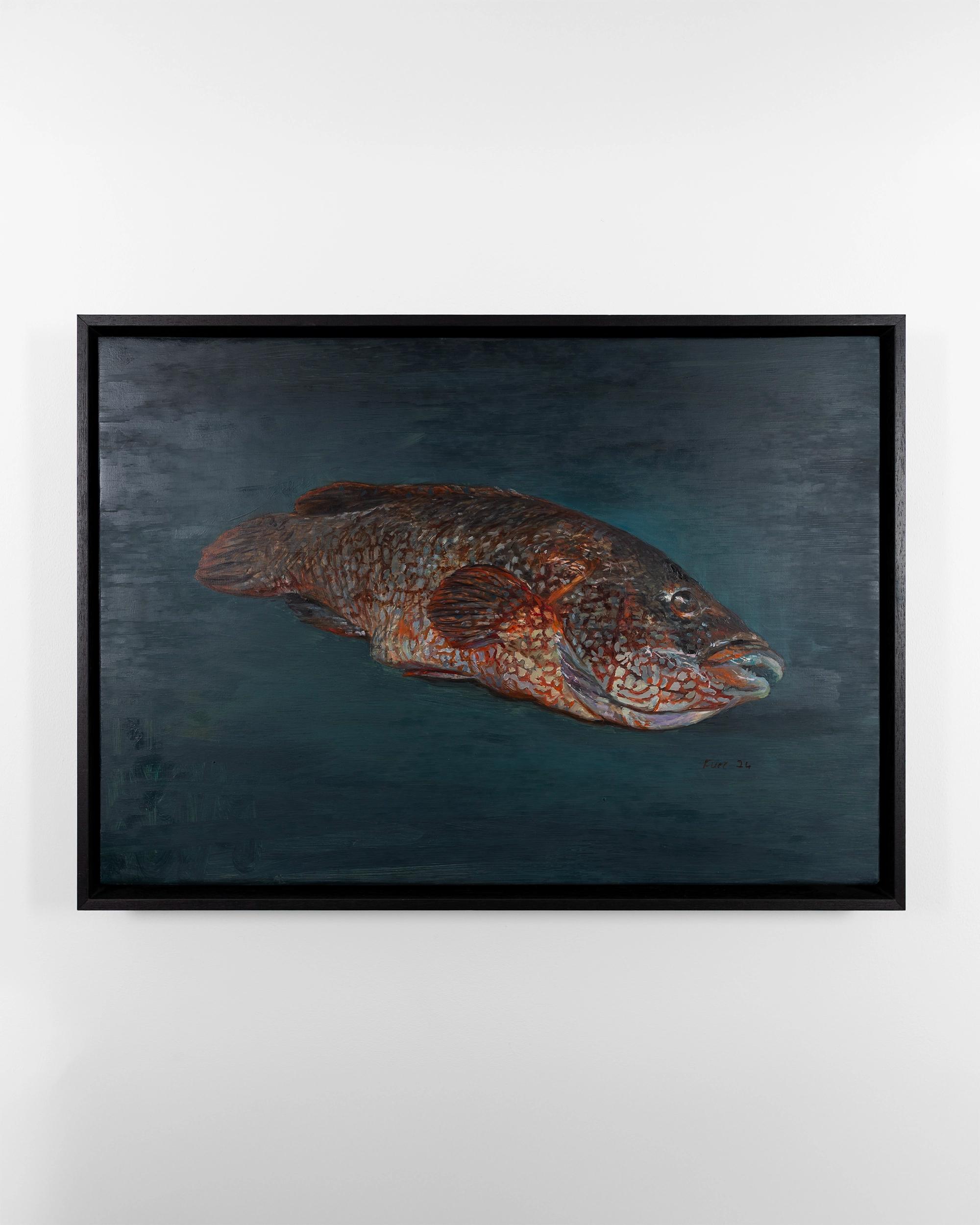 Wrasse on Lautreamont Green