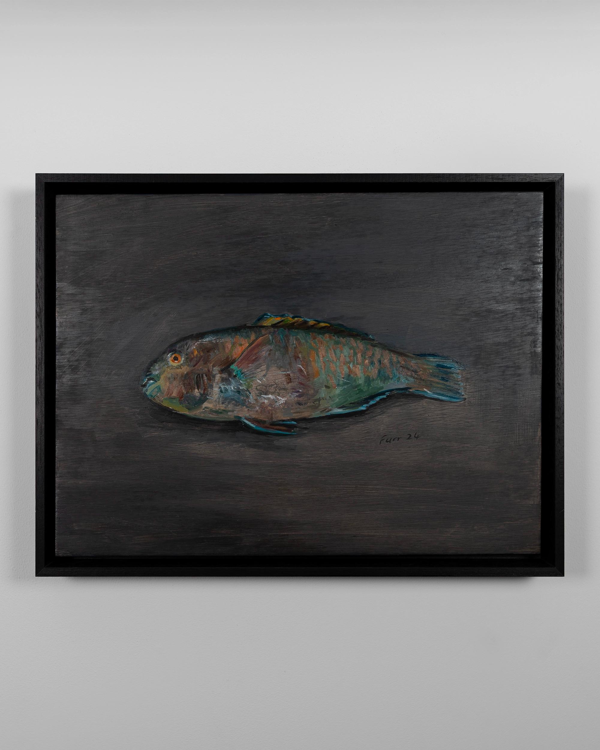 Rainbow Parrotfish