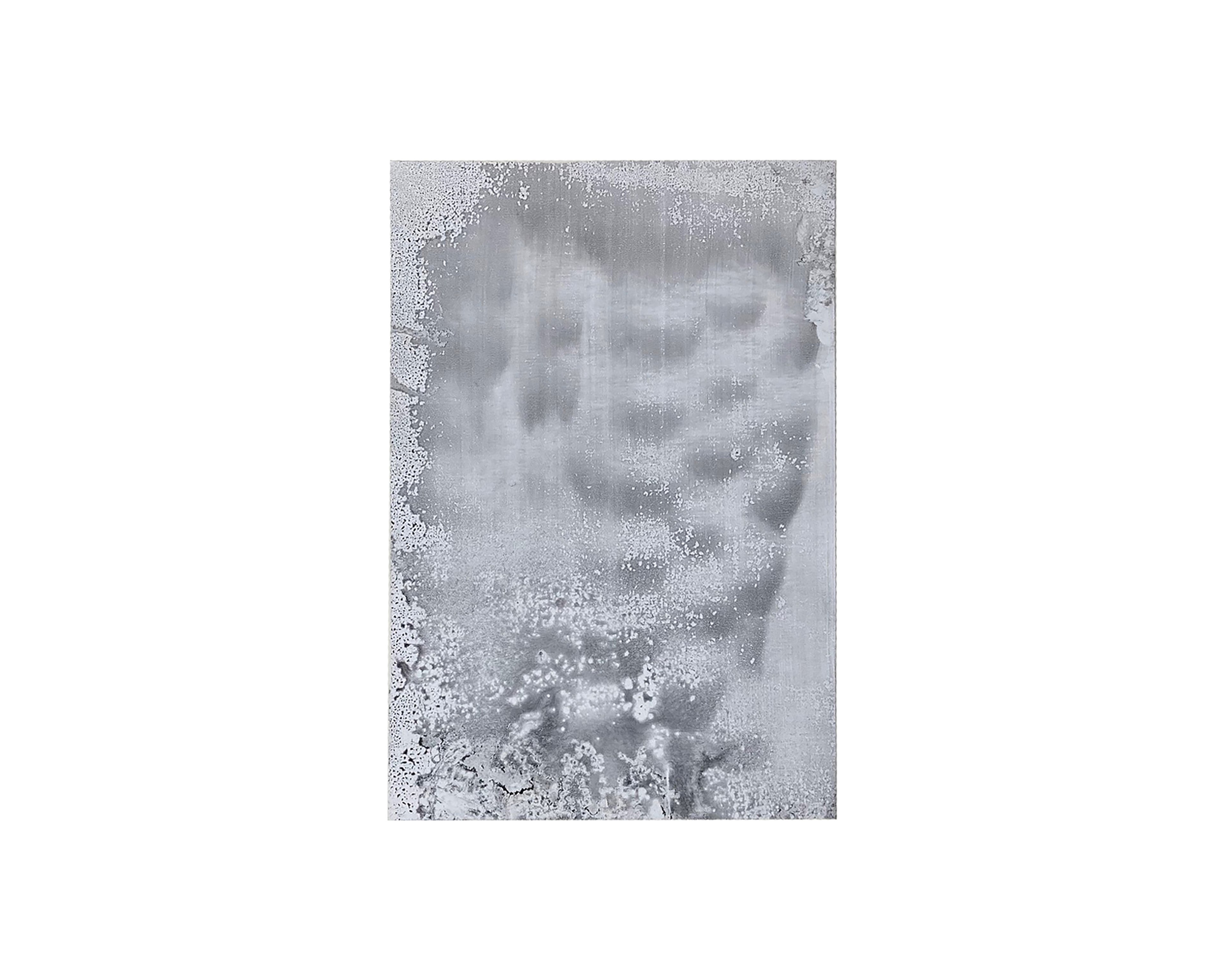 Monochromatic watercolour portrait of a face obscured by crystalline salt or frost formations, creating an ethereal, fragmented effect across the figure